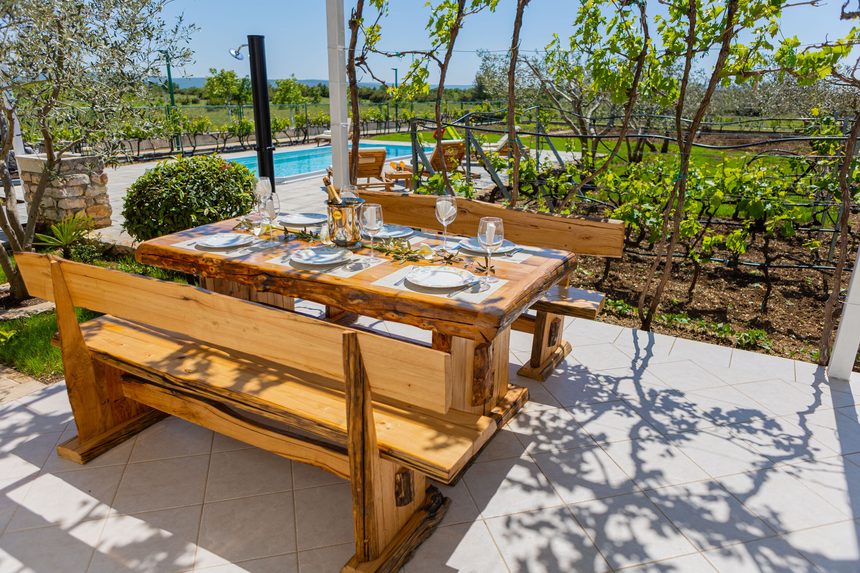 Villa Olive tree V9371-K1