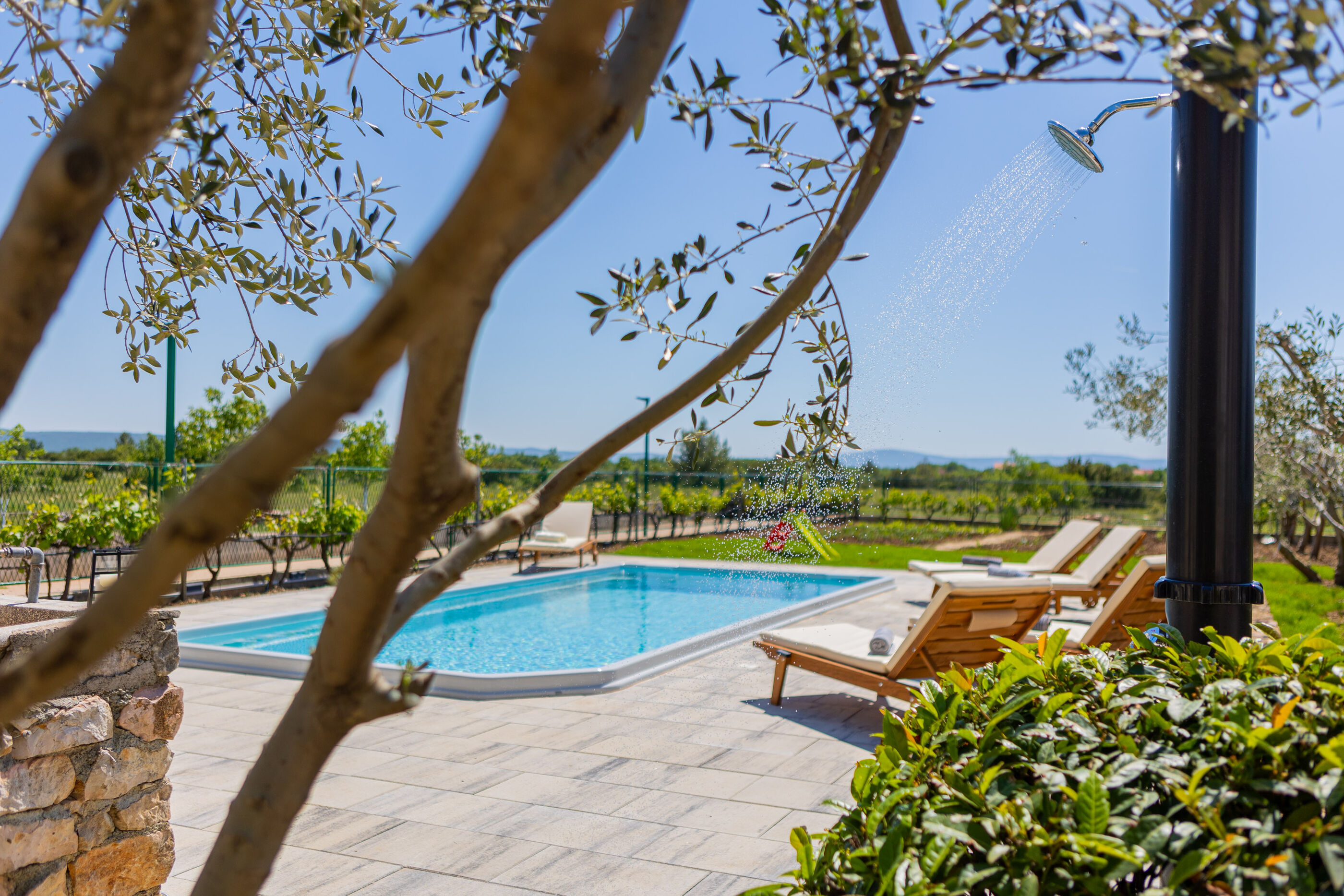 Villa Olive tree V9371-K1