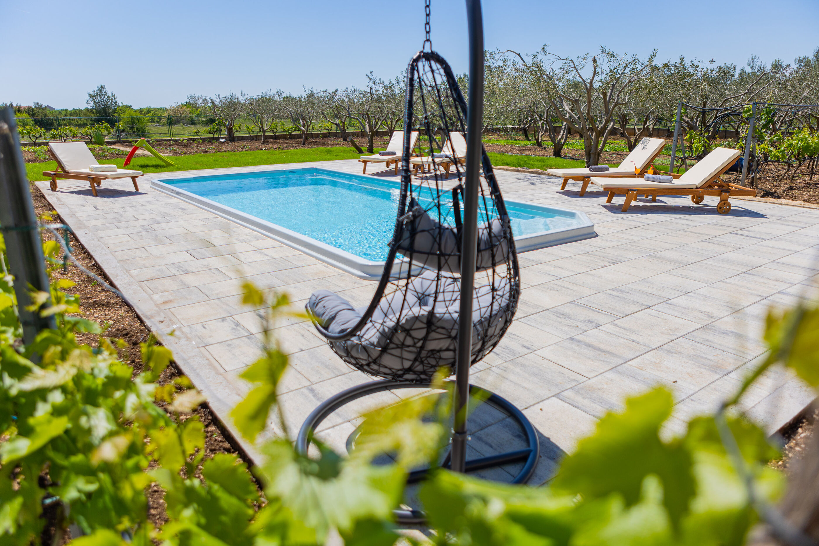 Villa Olive tree V9371-K1