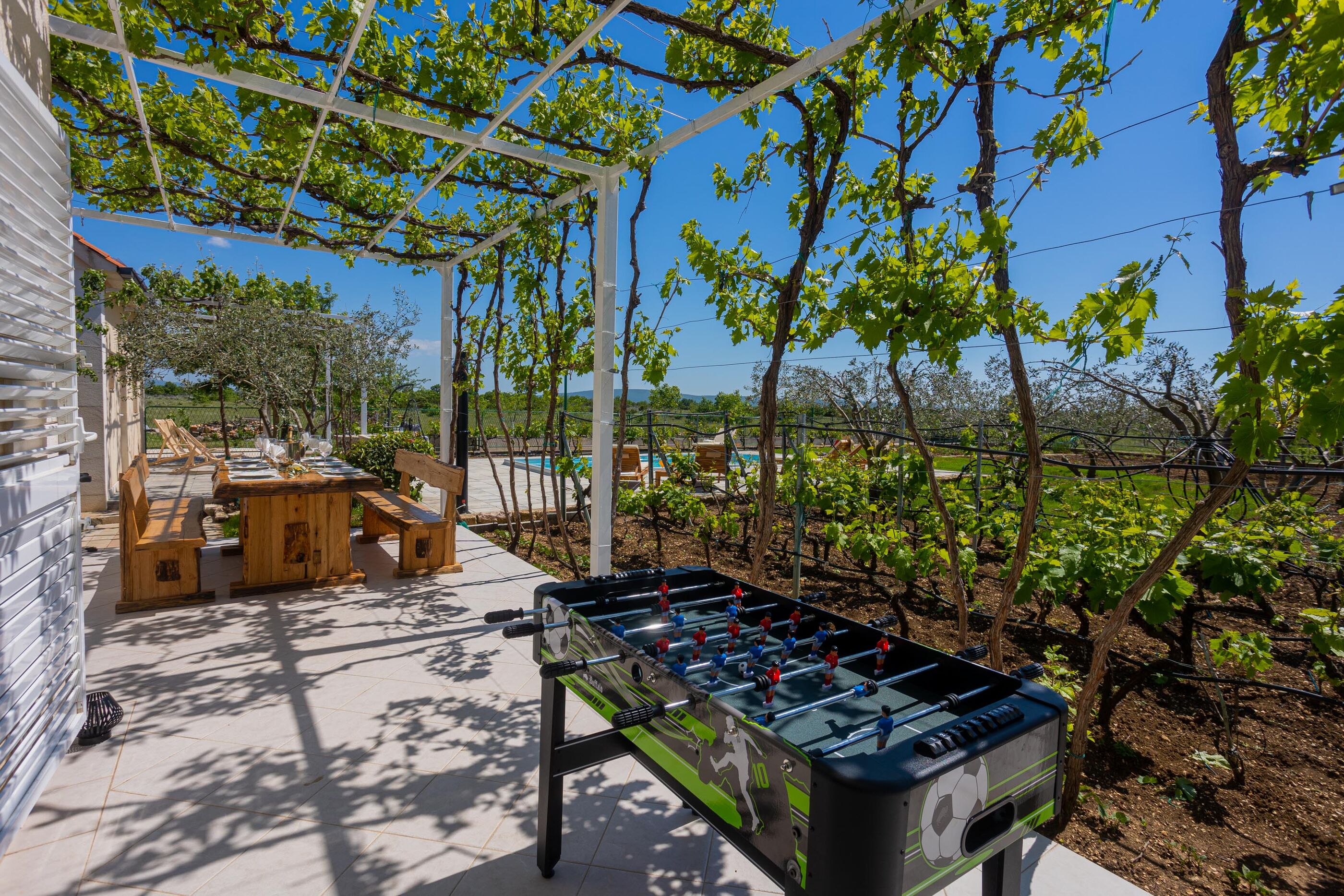 Villa Olive tree V9371-K1