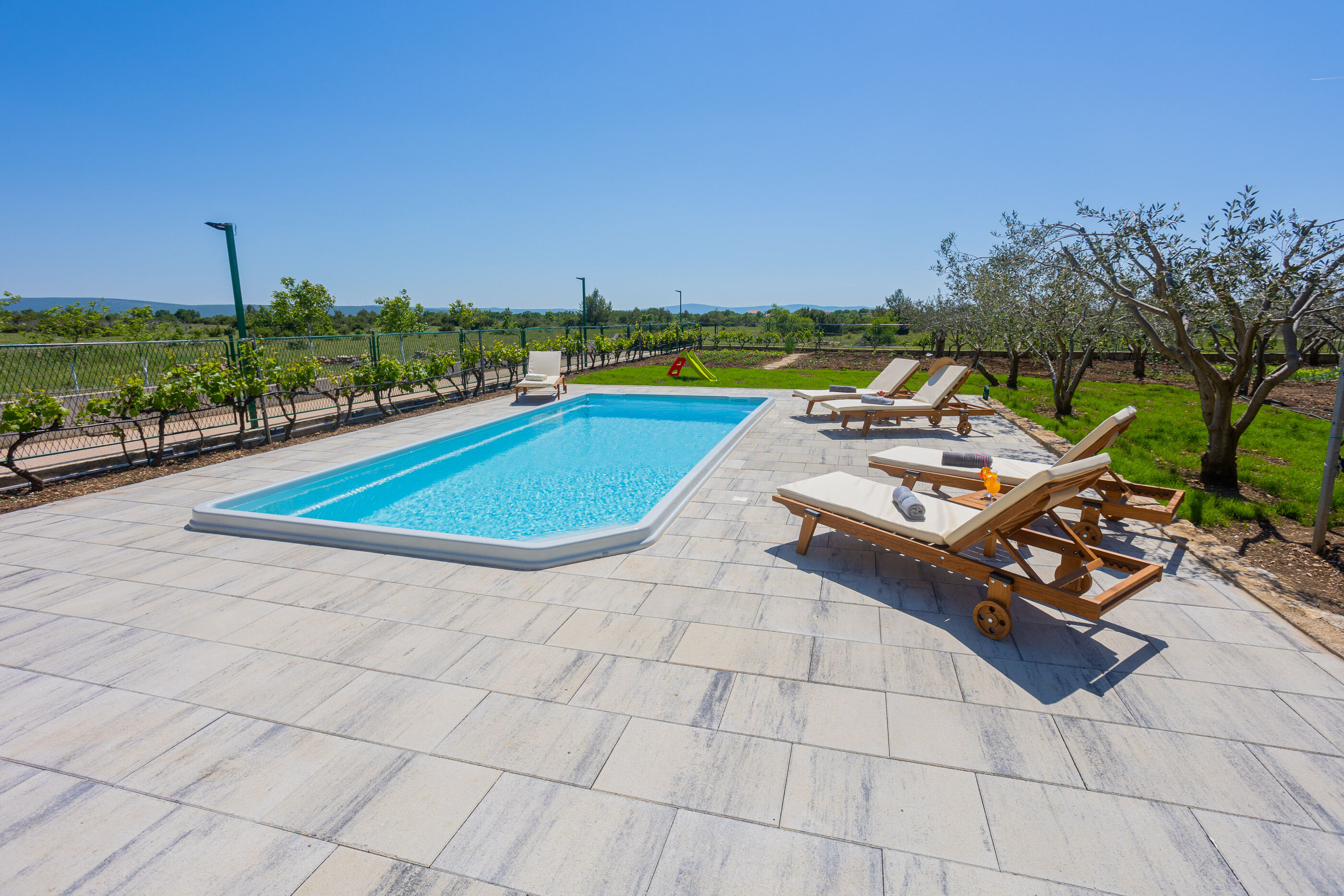Villa Olive tree V9371-K1