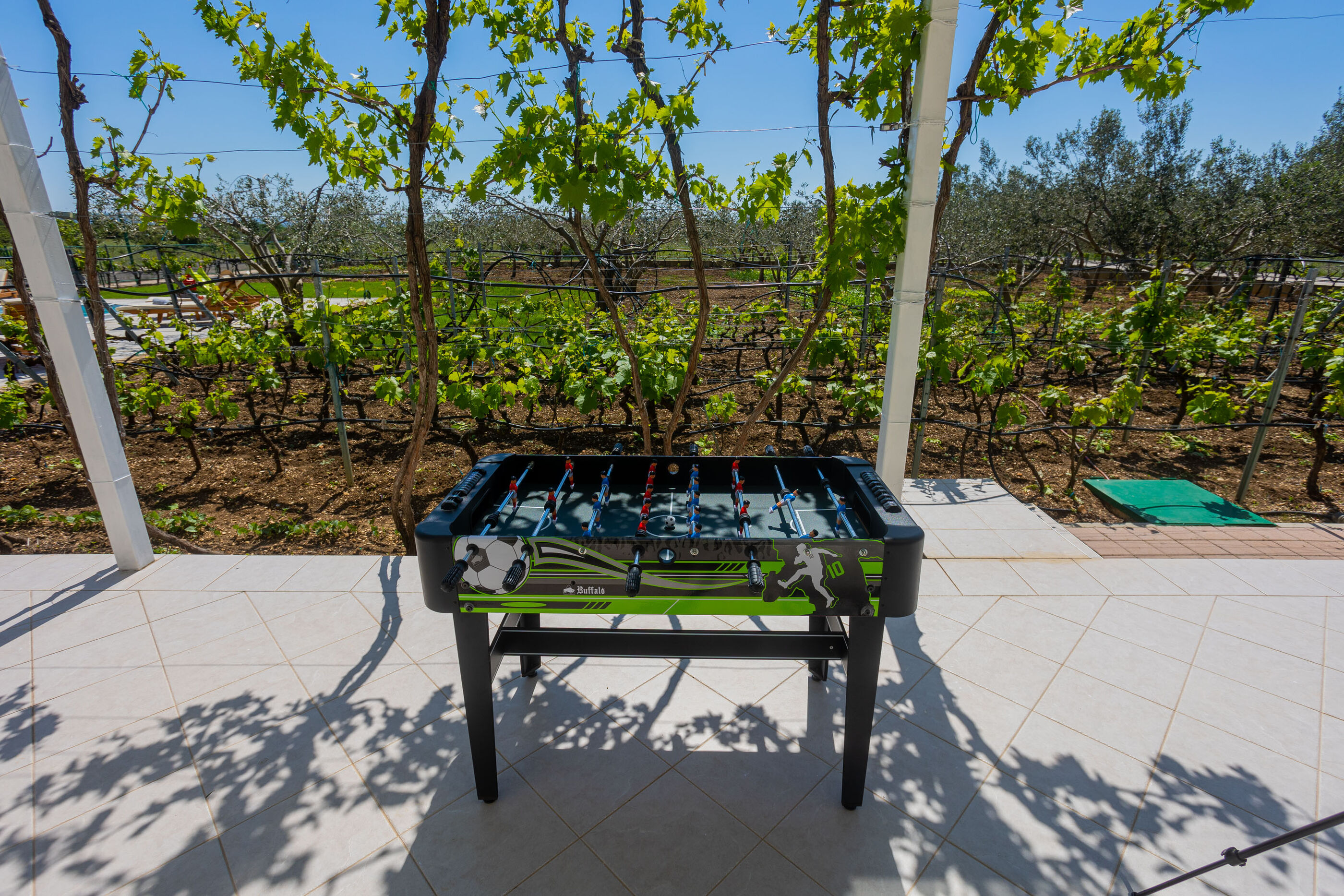 Villa Olive tree V9371-K1