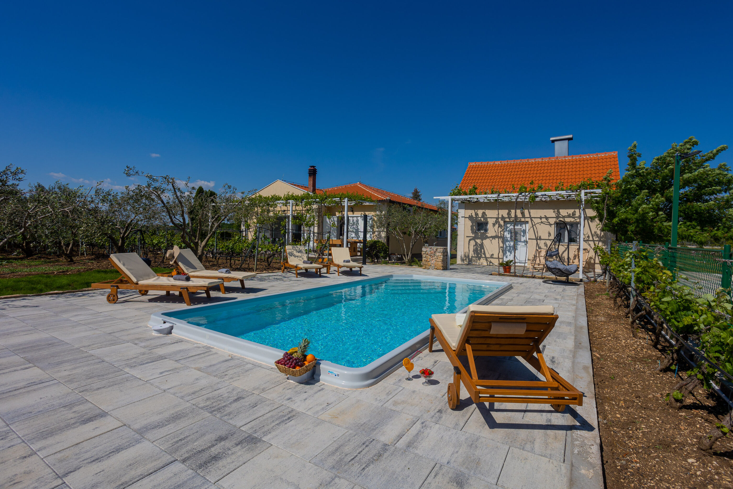 Villa Olive tree V9371-K1