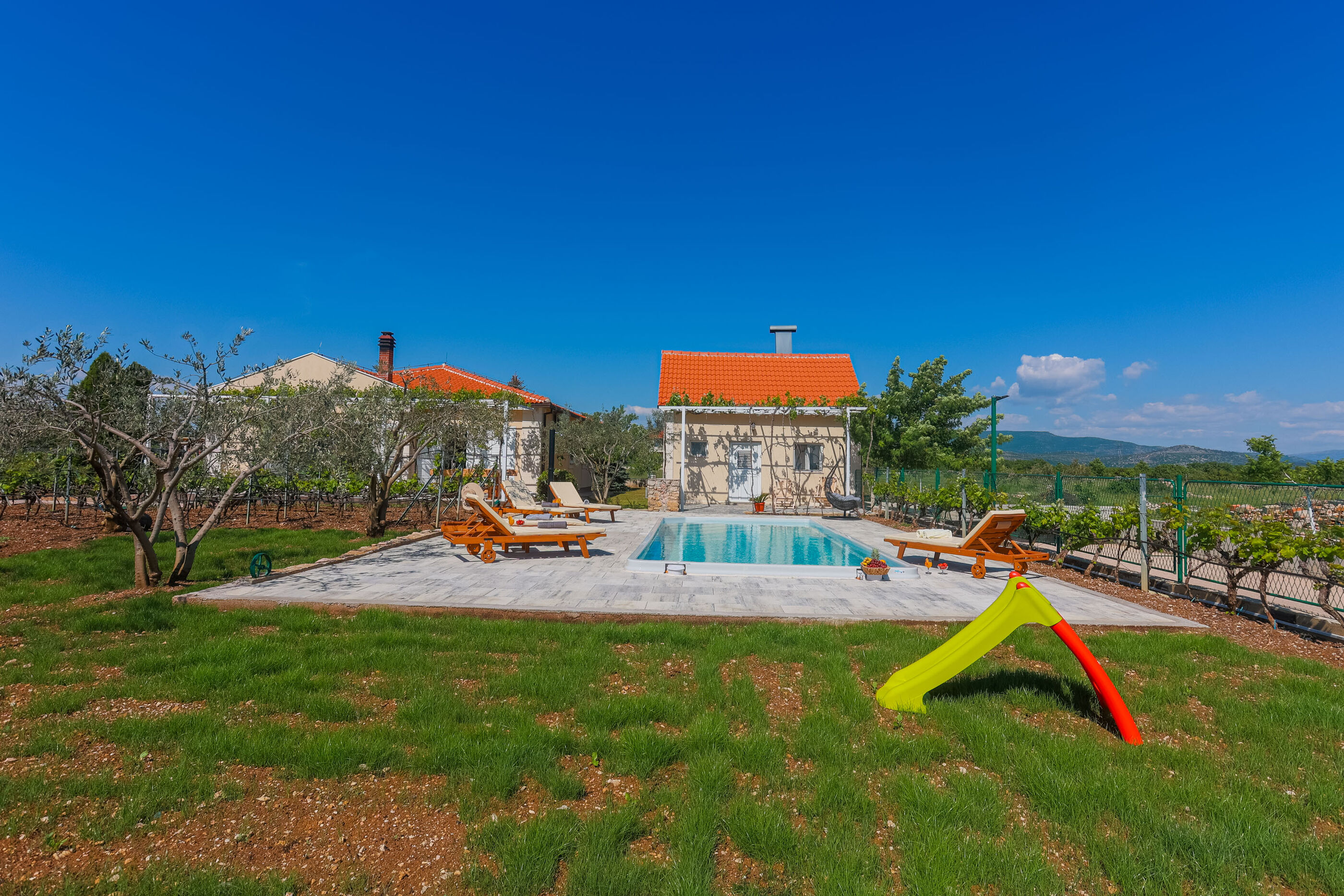 Villa Olive tree V9371-K1