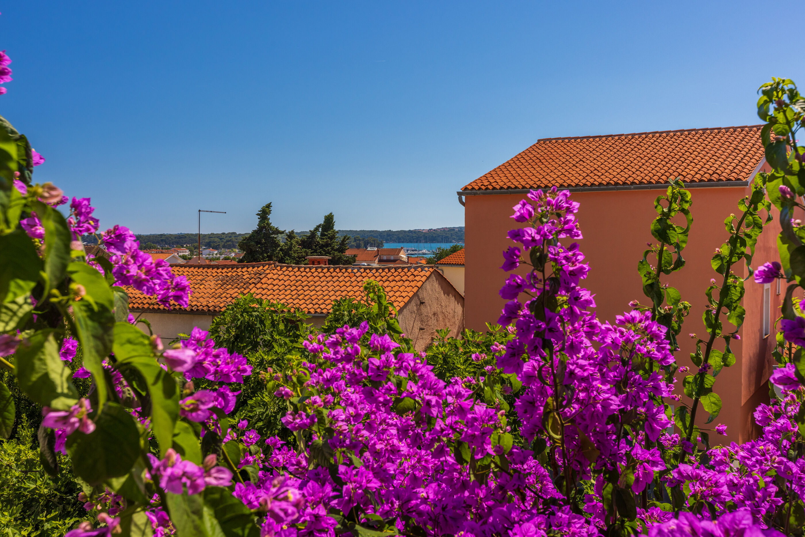 Photo of House Nevenka