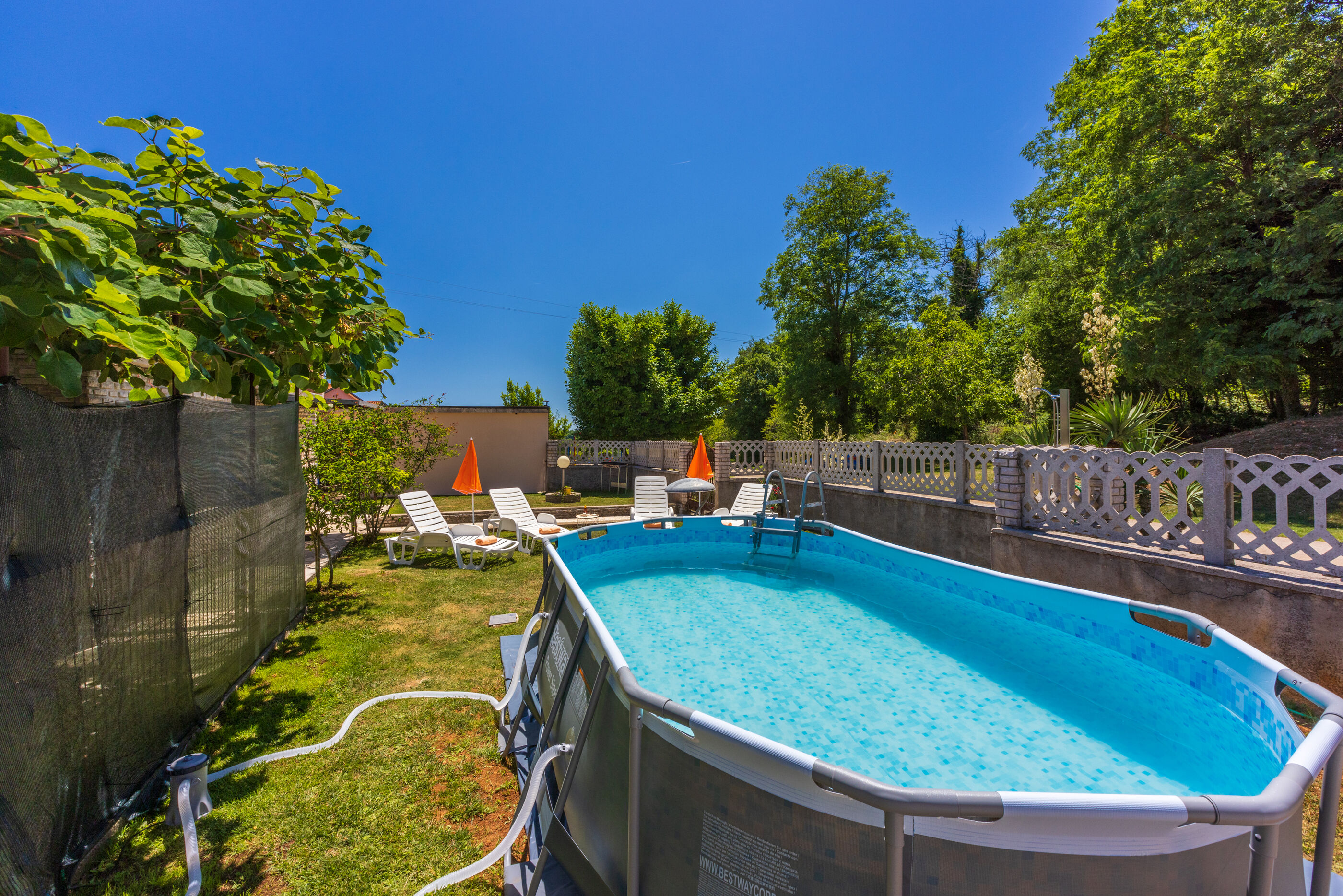 Photo of House Forest Paradise