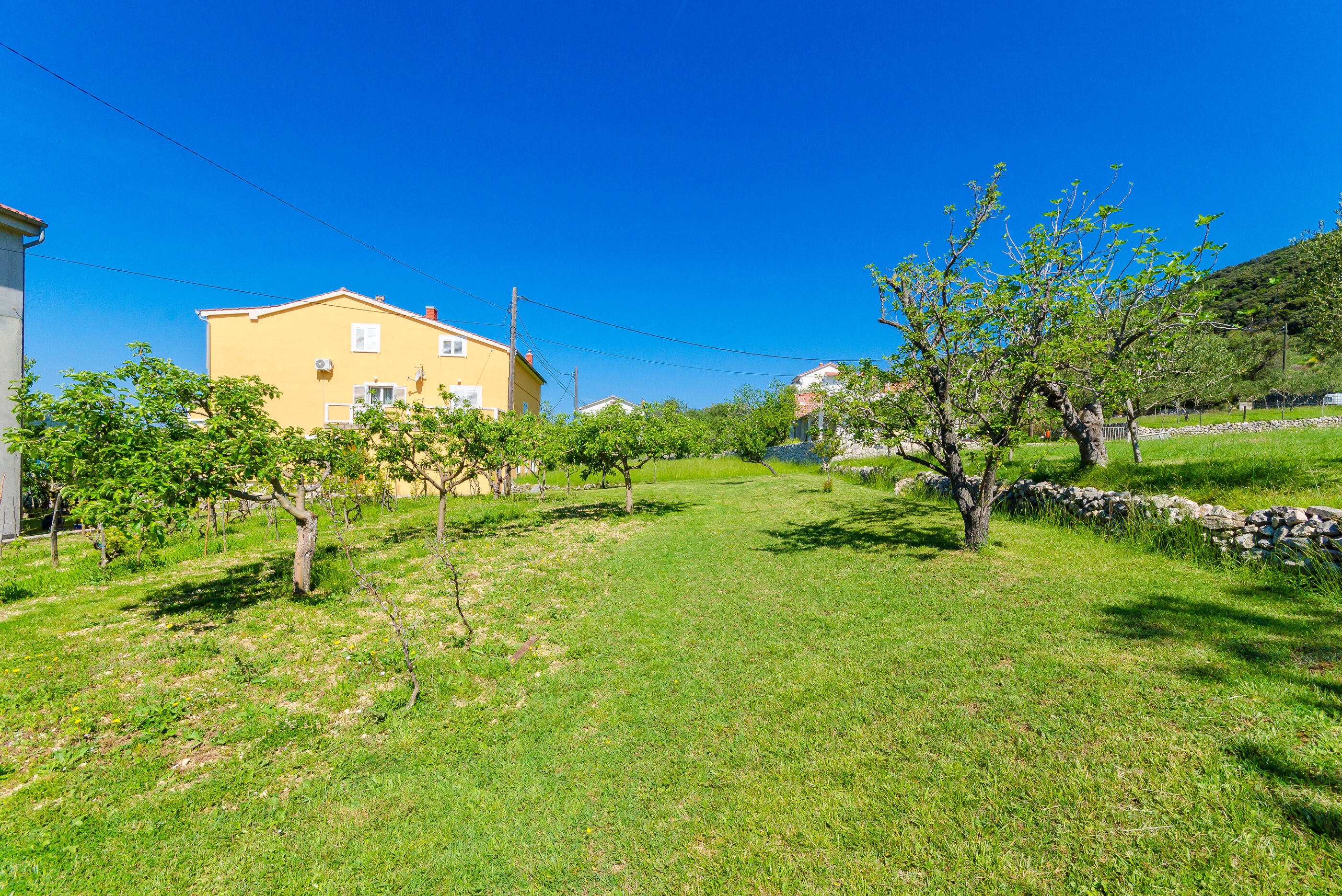 Apartment Marica 16191-A1