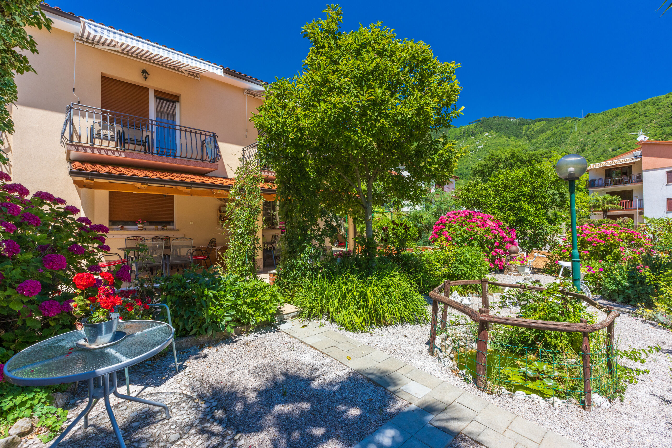 Photo of Apartments Branka