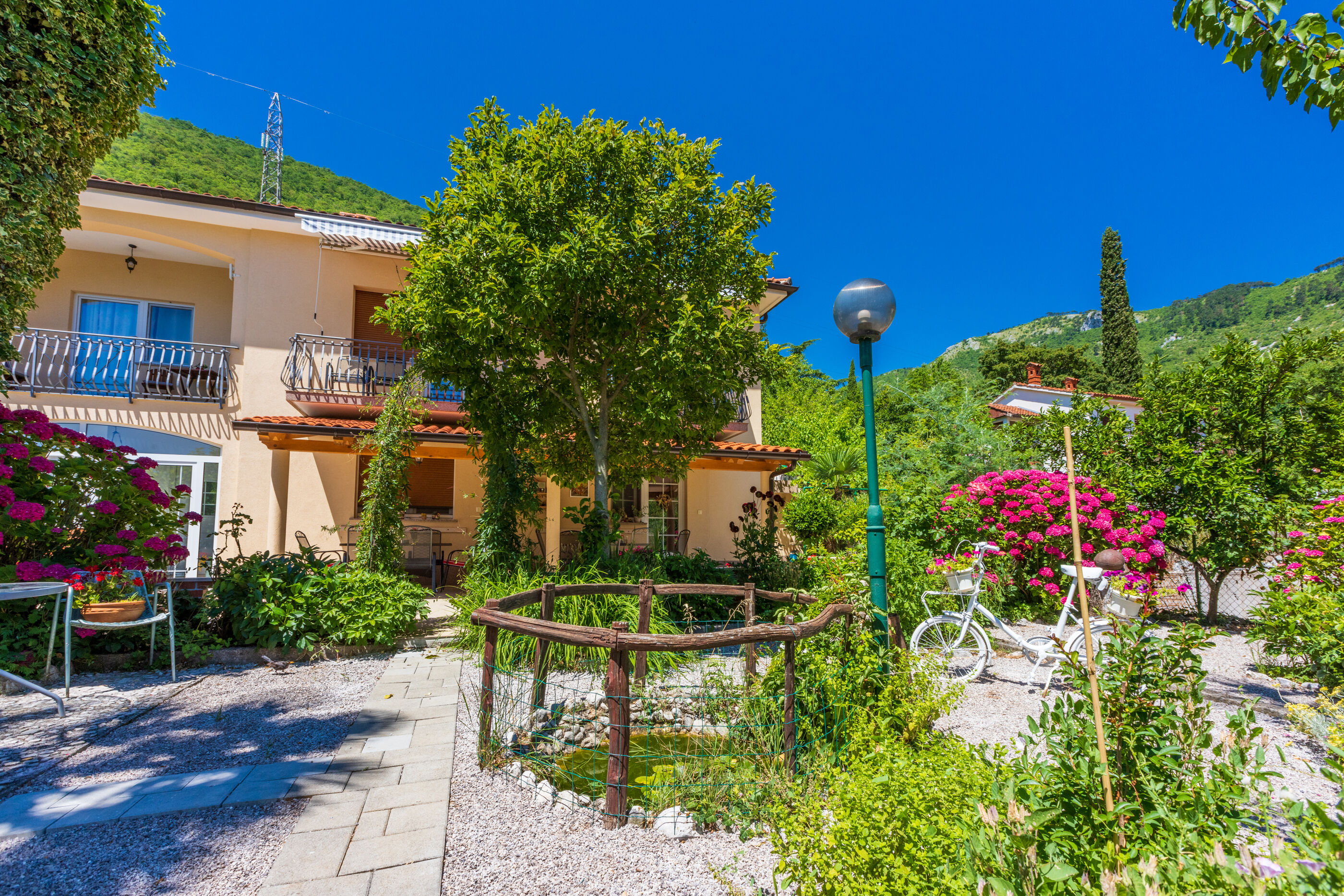 Photo of Apartments Branka