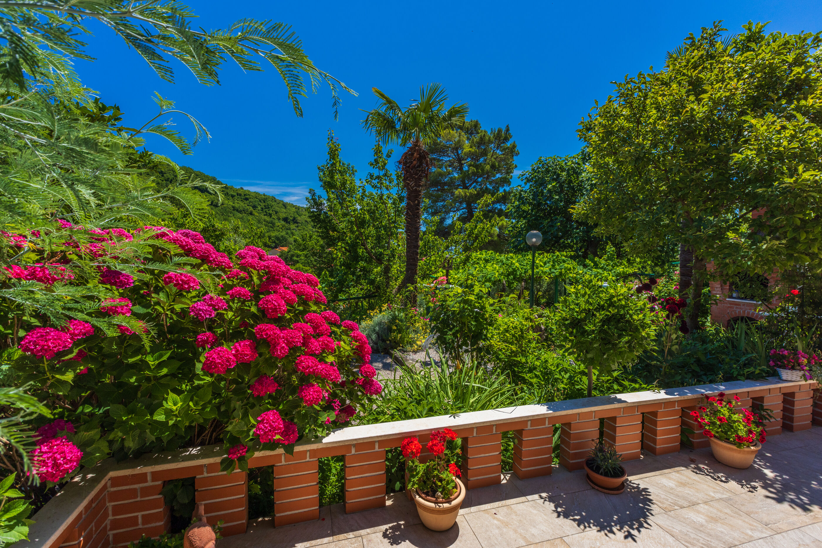 Photo of Apartments Branka