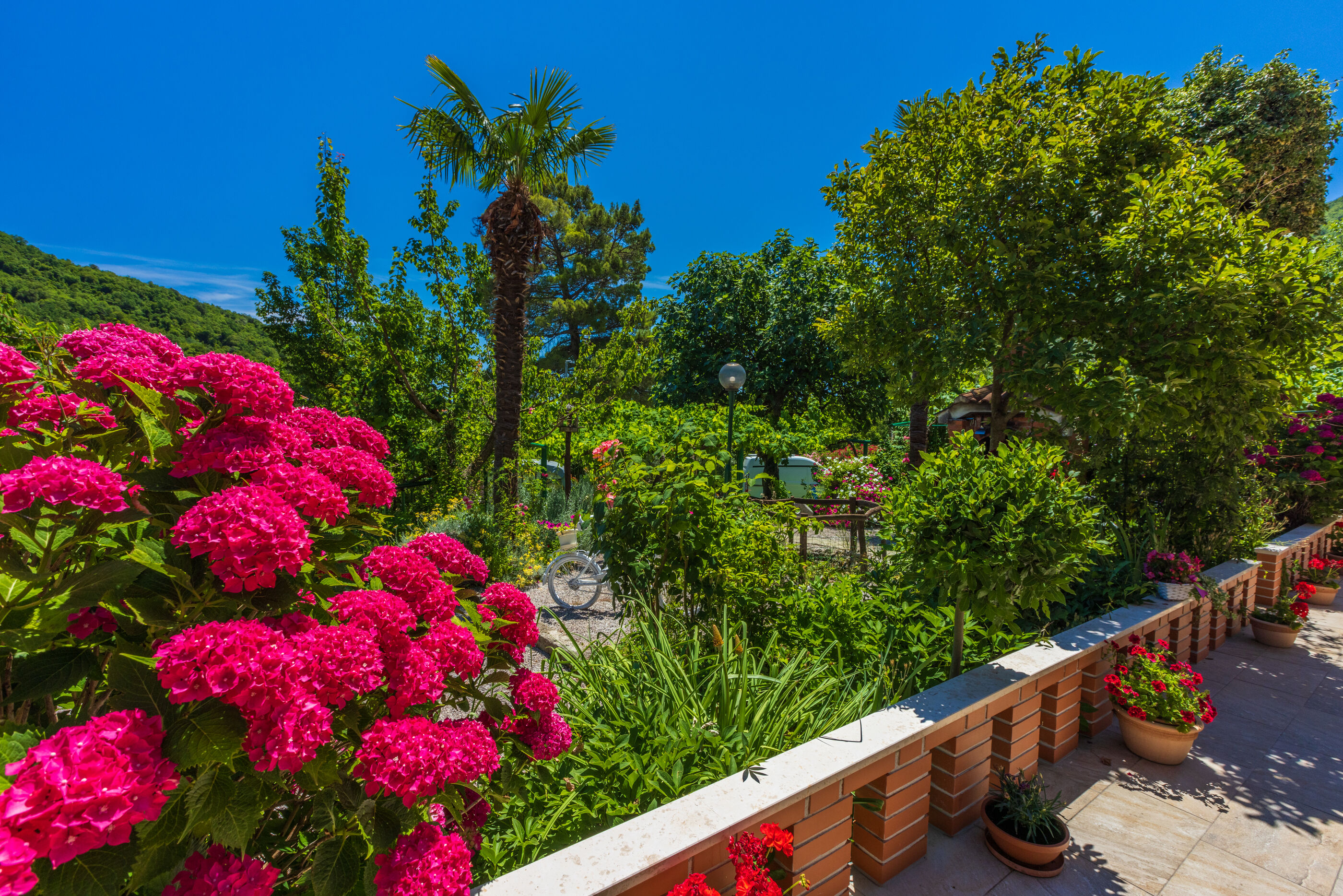 Photo of Apartments Branka