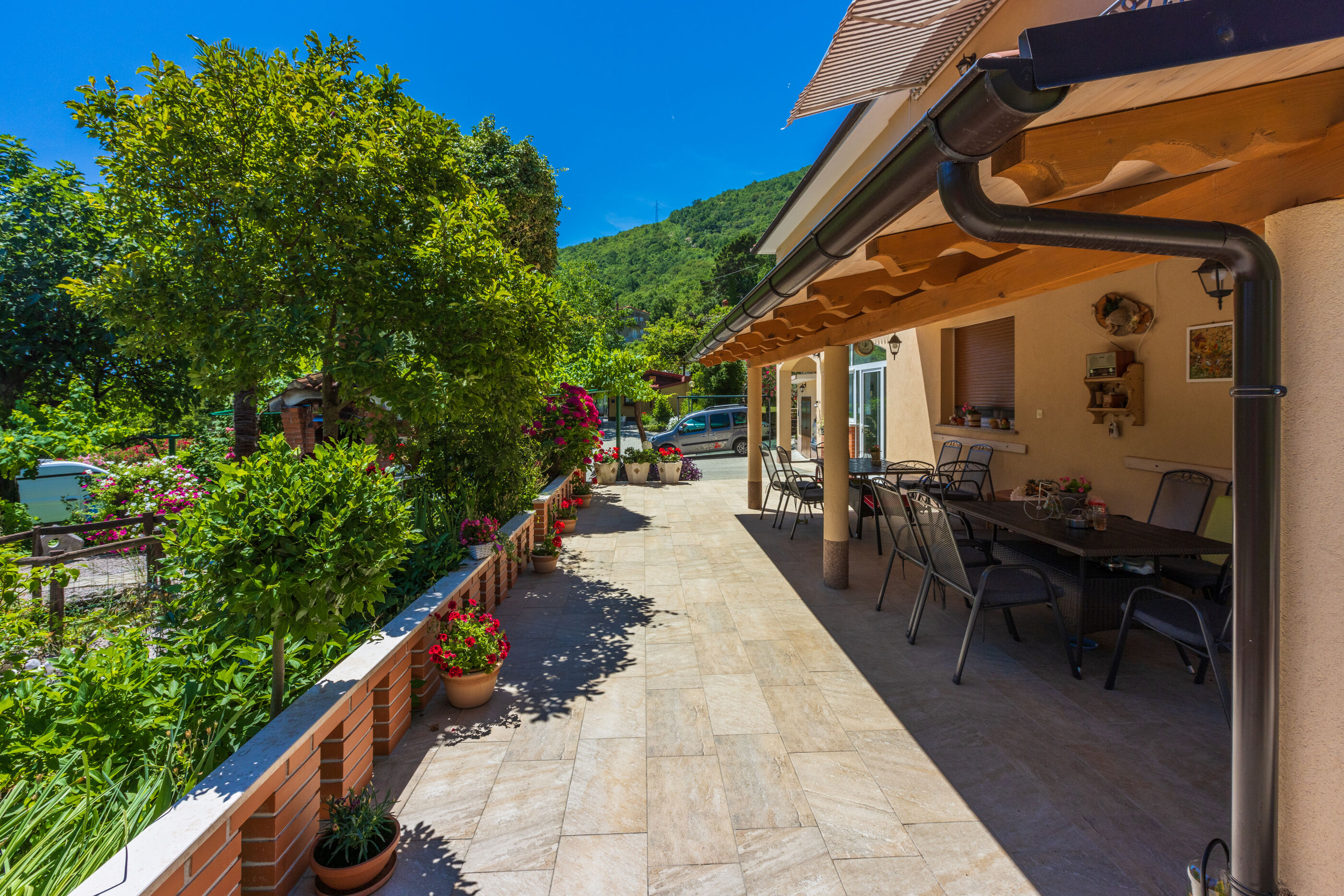 Photo of Apartments Branka