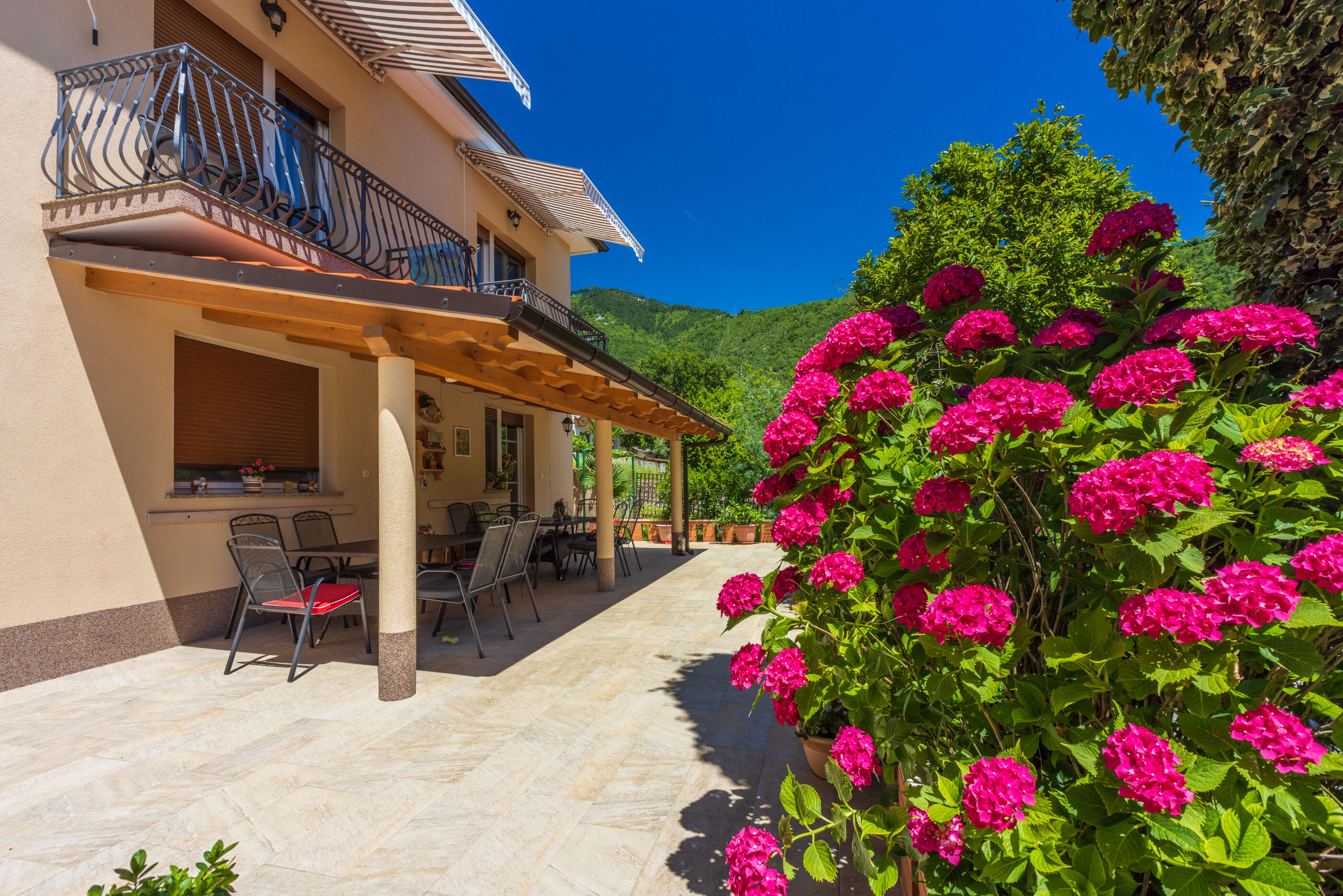 Photo of Apartments Branka