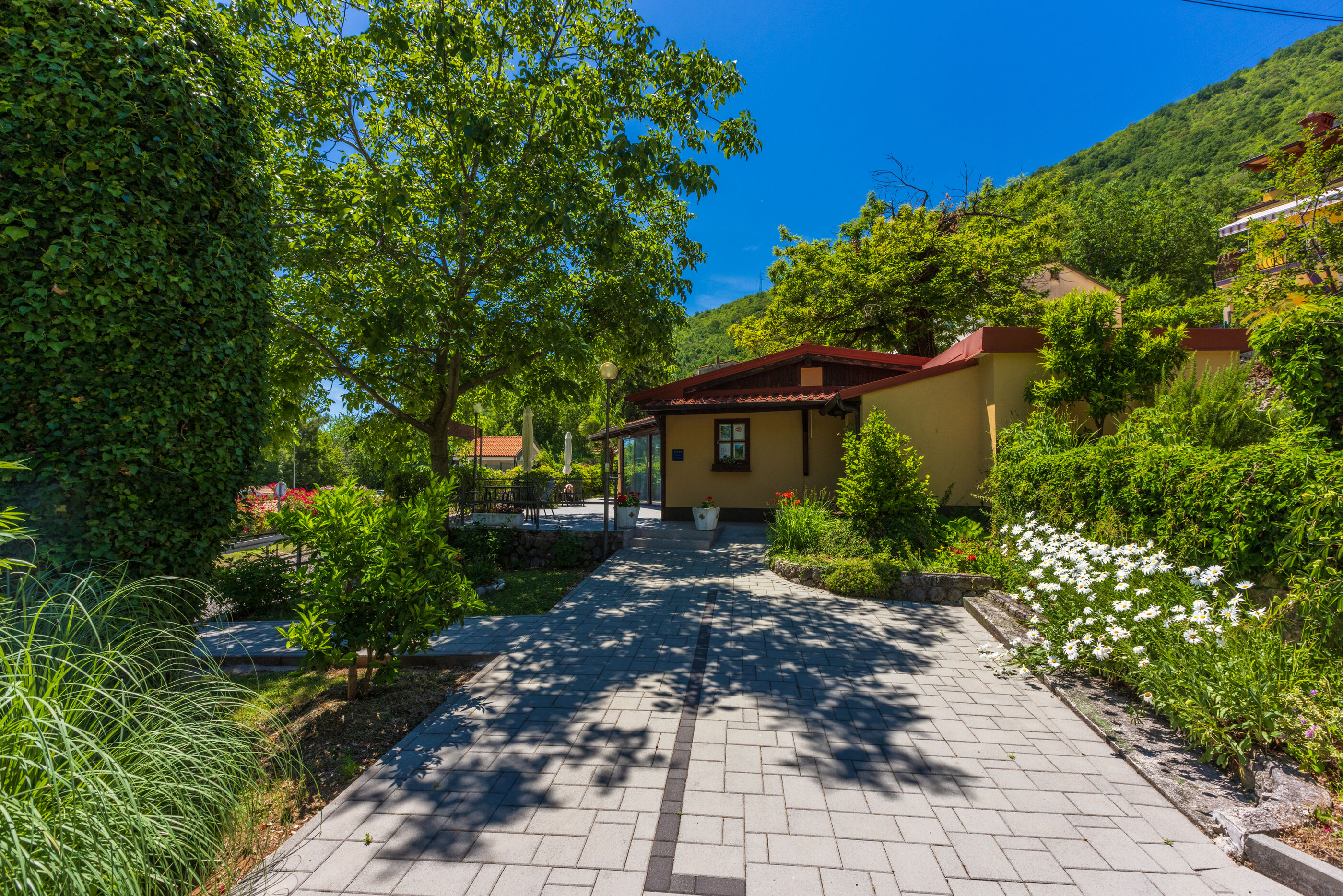 Apartments Branka 20361-A2