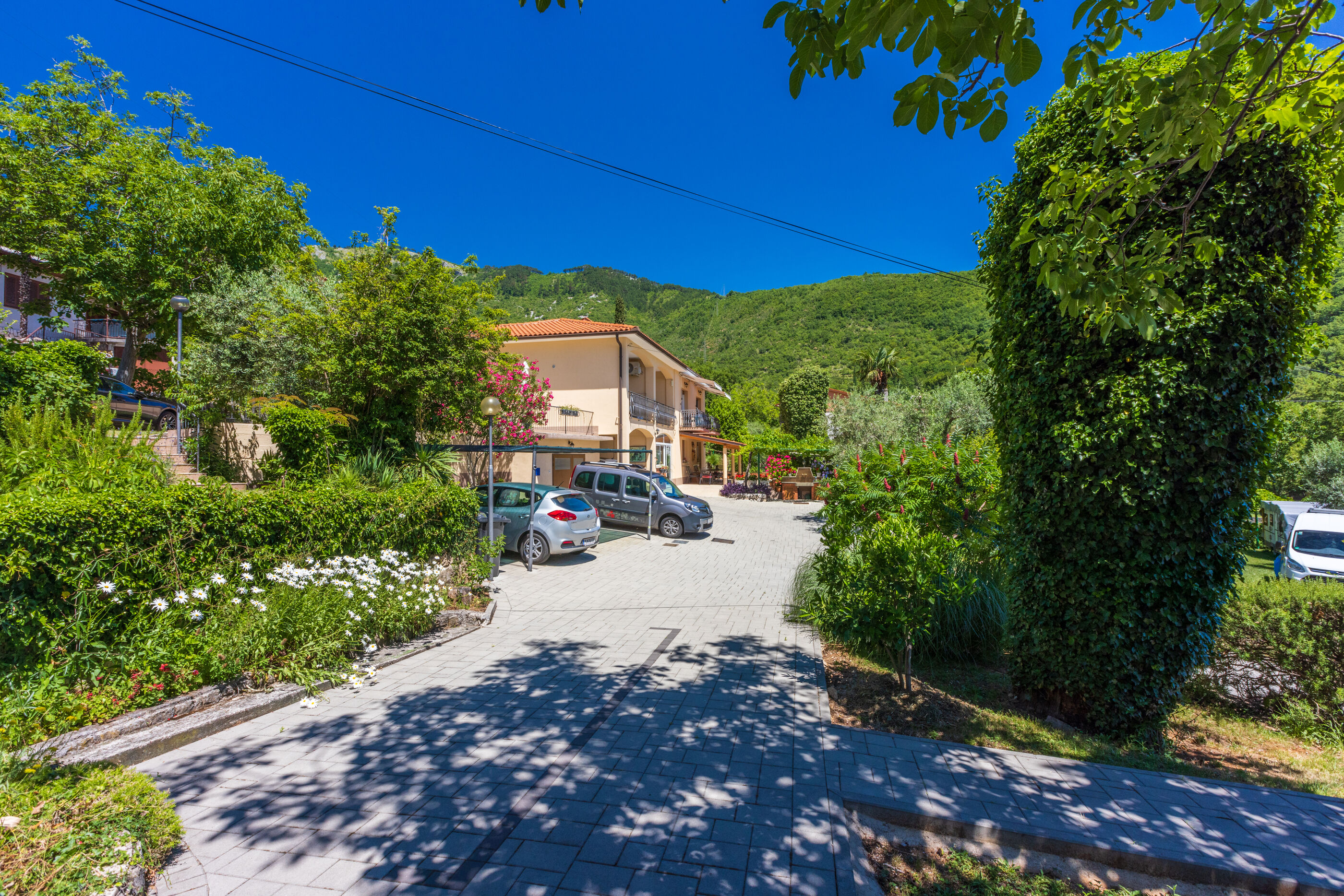 Apartments Branka 20361-A2