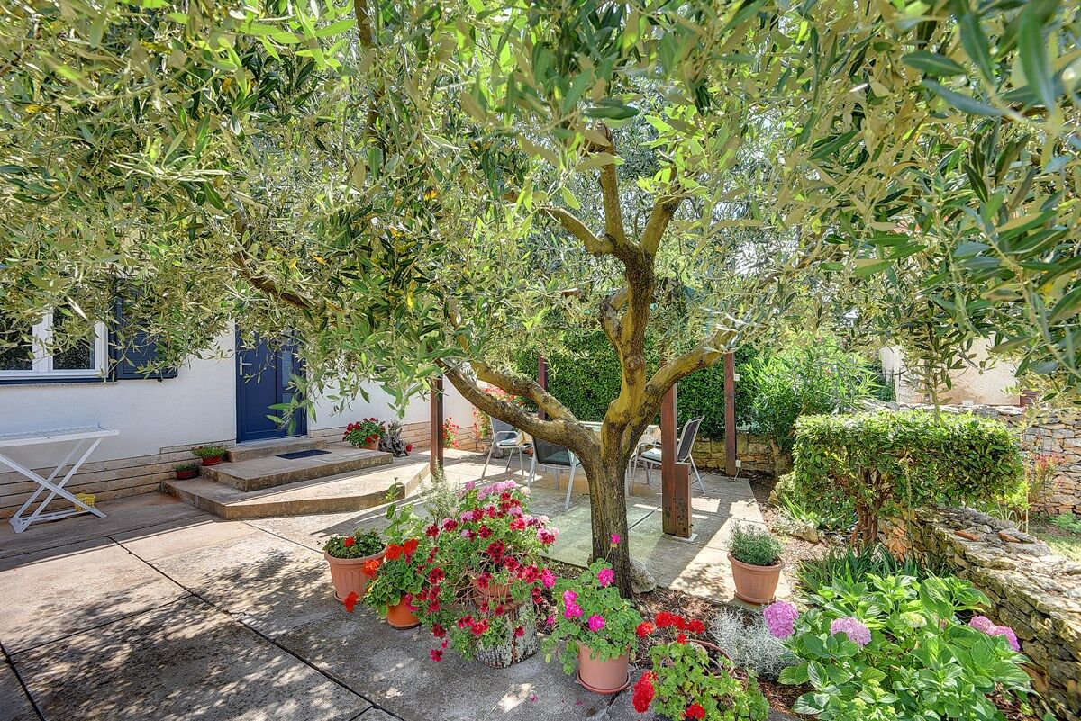 Apartments Casa Pepca 74081-A1