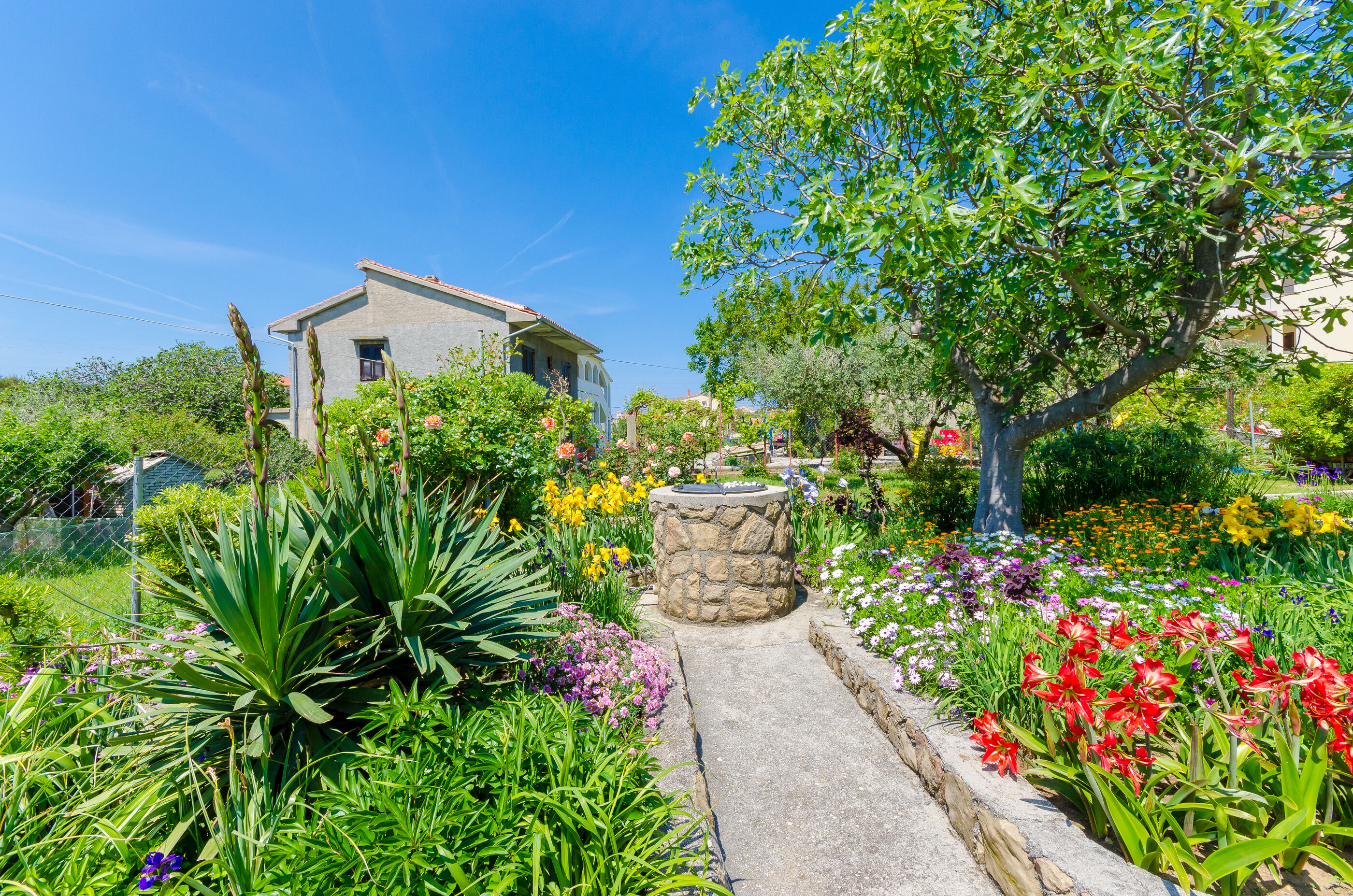 Photo of Apartments Kristijan M