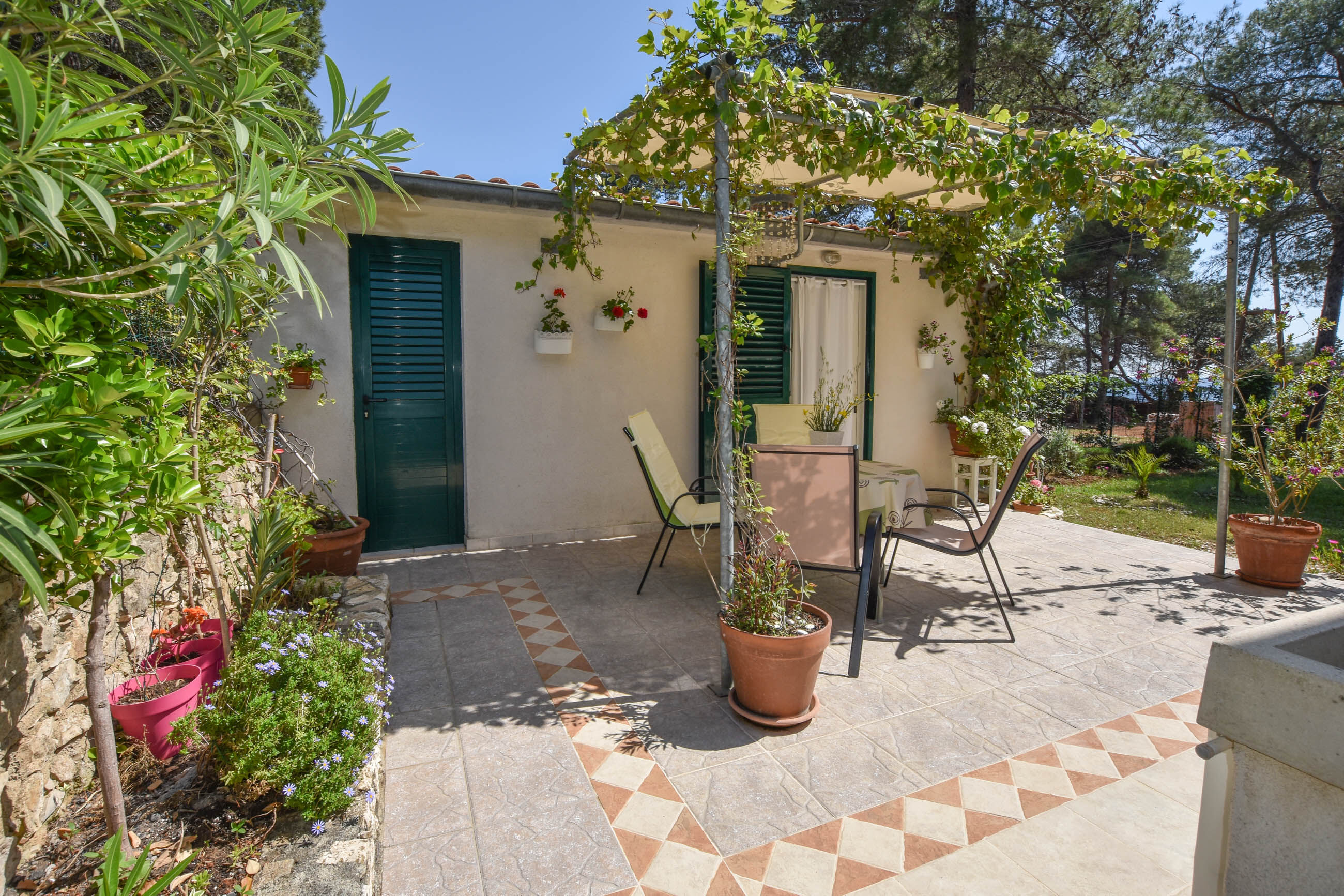 Apartment Ivan 20181-A1