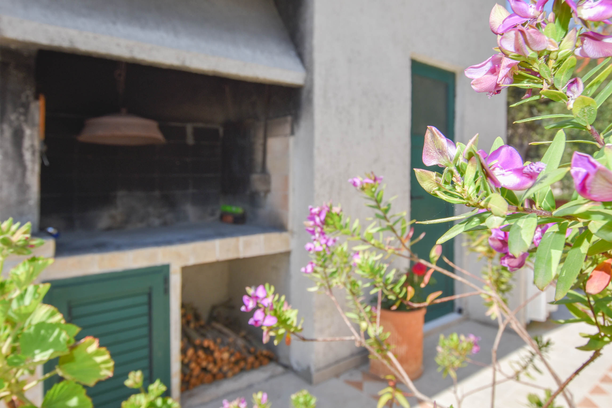 Apartment Ivan 20181-A1