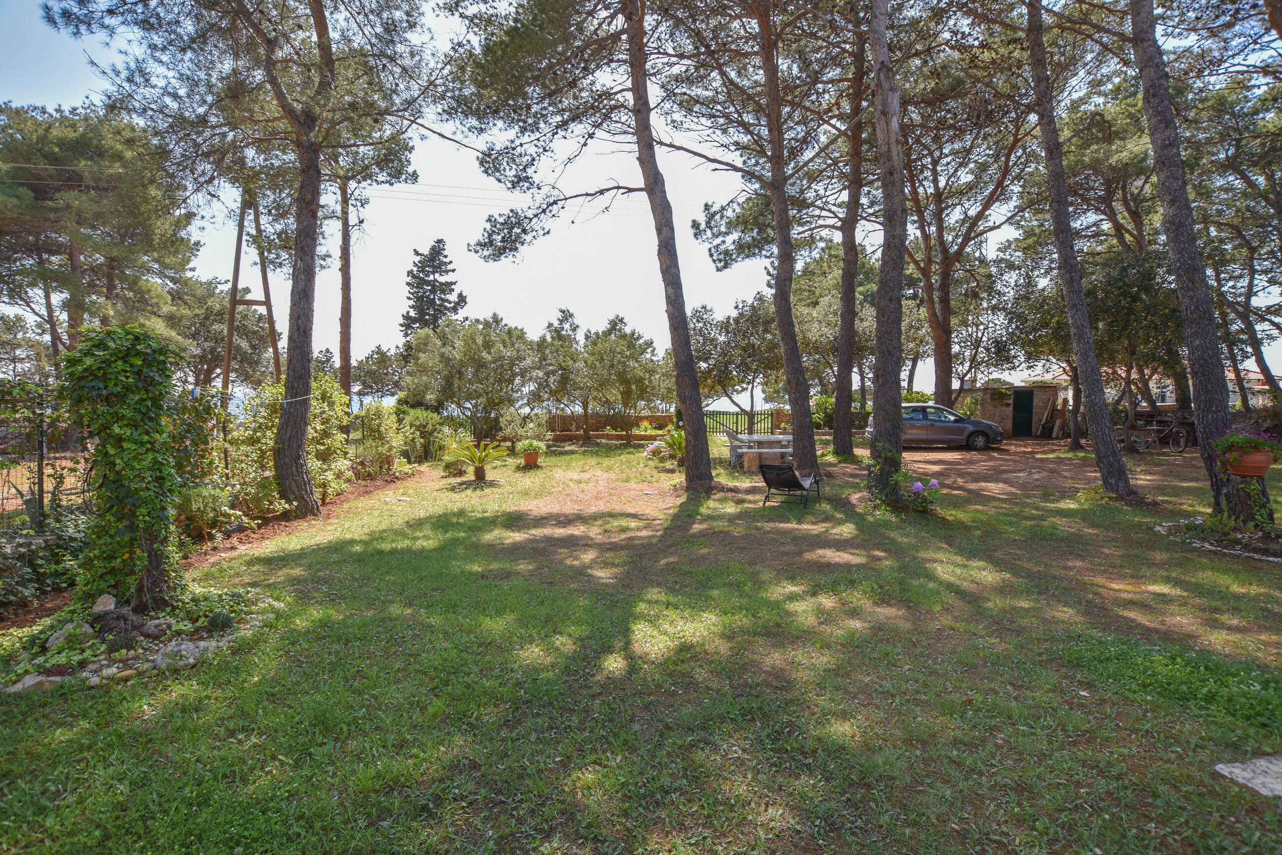 Apartment Ivan 20181-A1