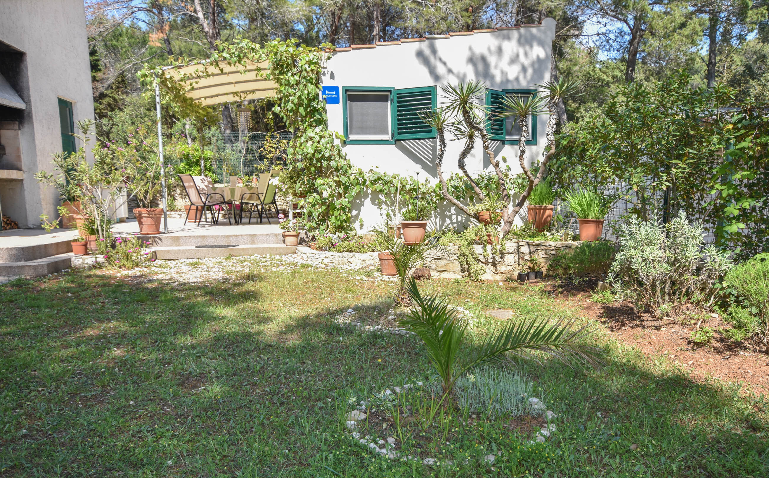 Apartment Ivan 20181-A1