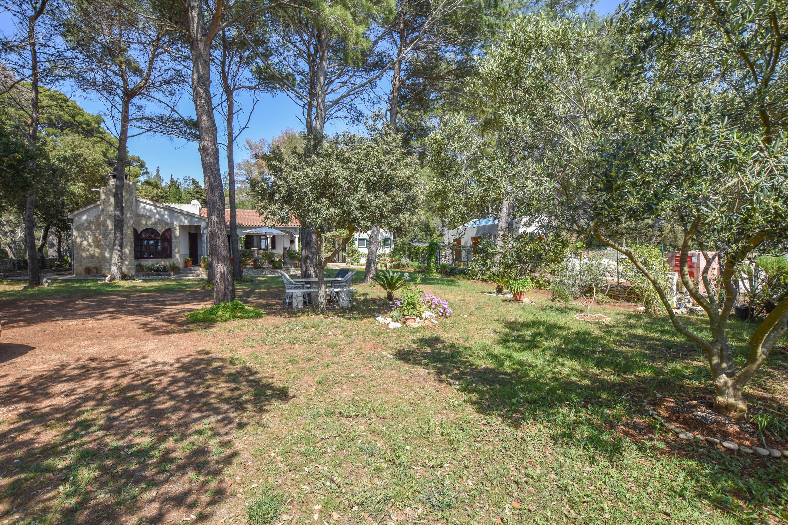 Apartment Ivan 20181-A1