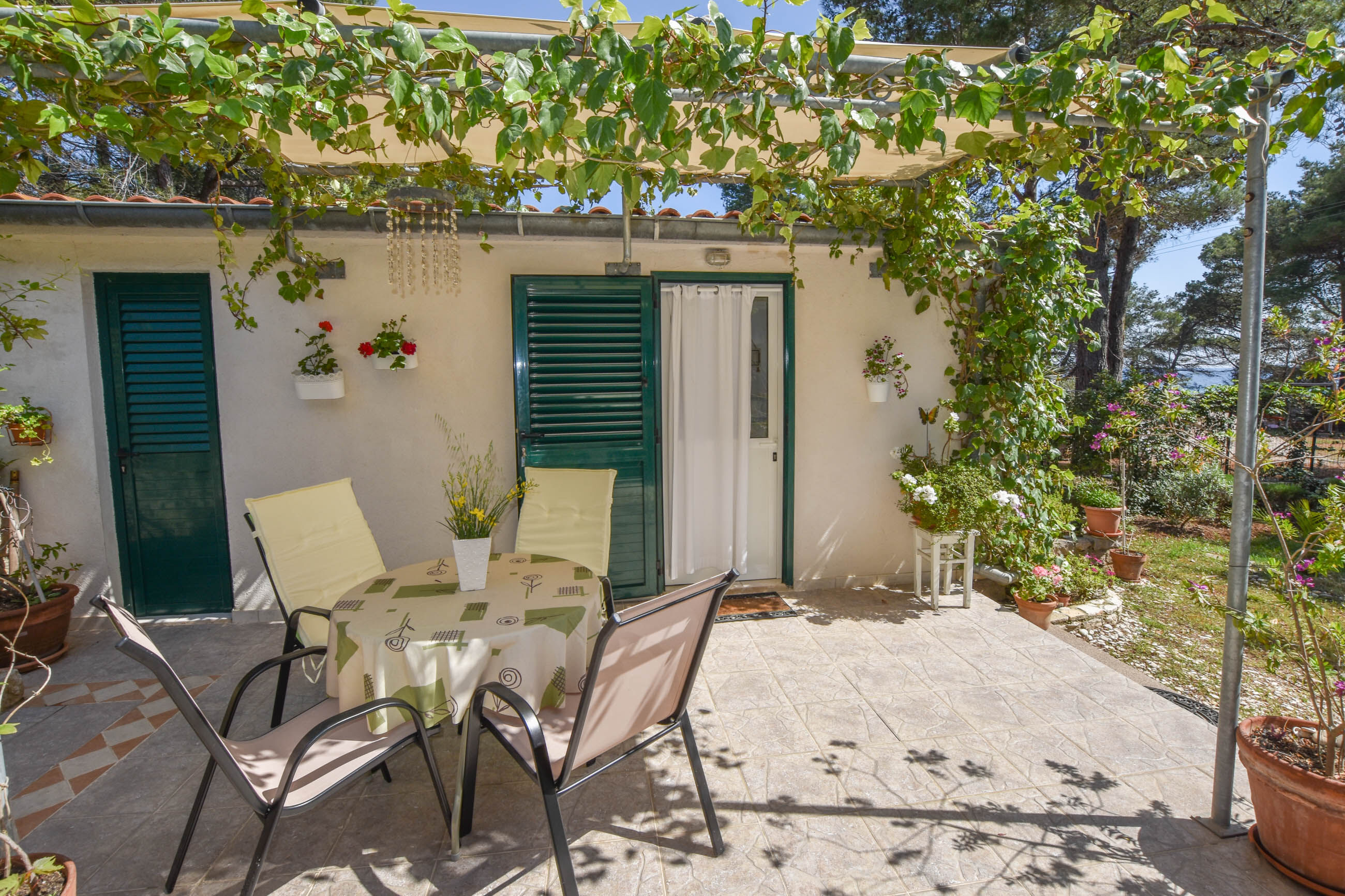Apartment Ivan 20181-A1