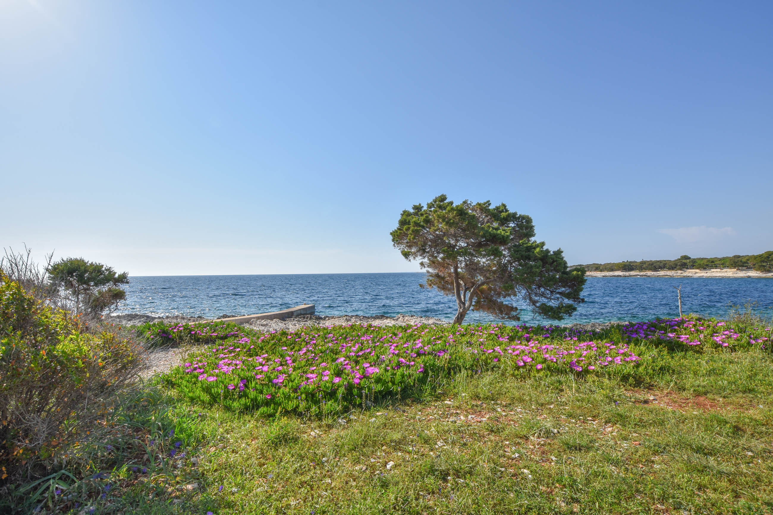 Apartment Ivan 20181-A1