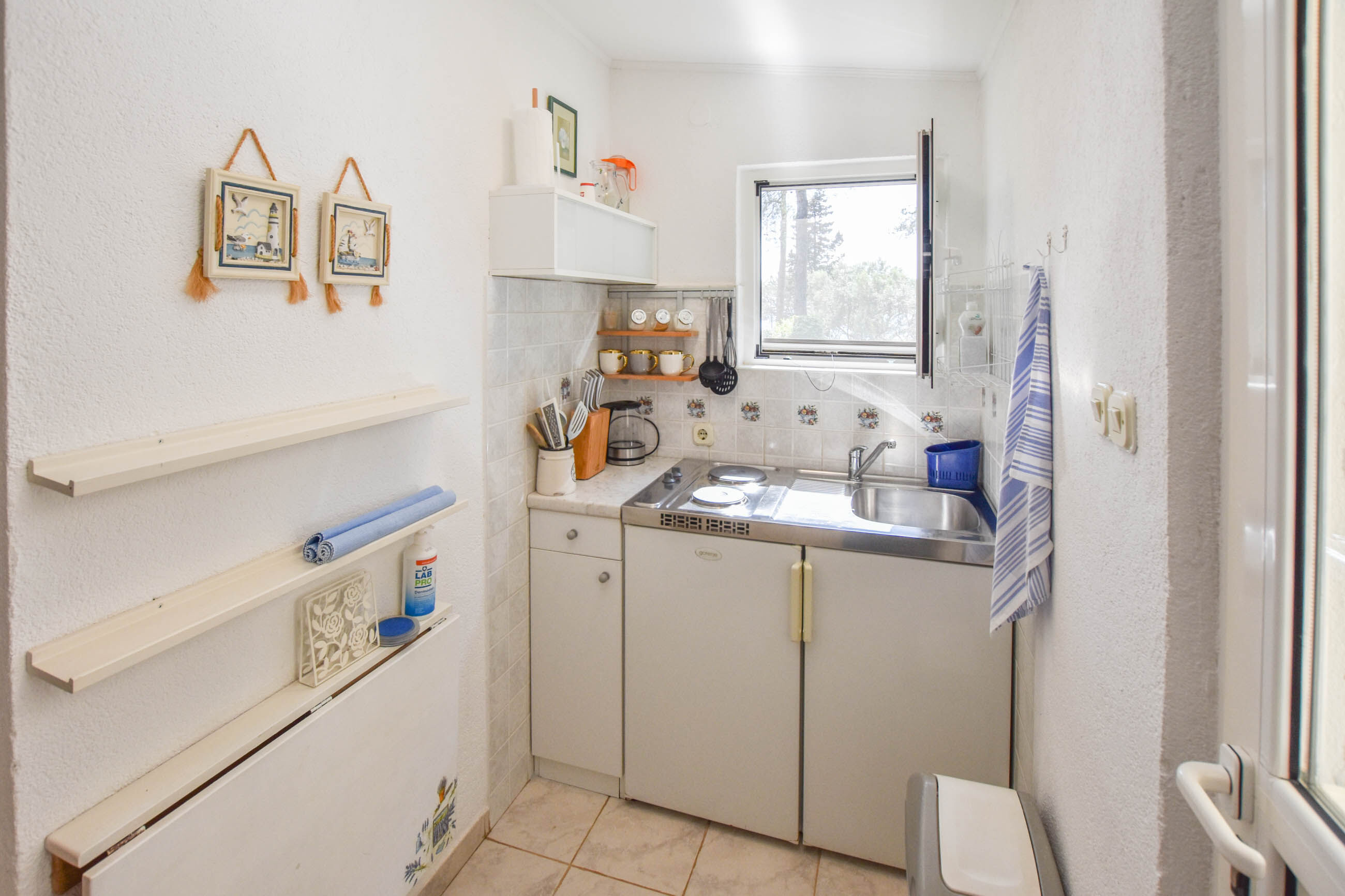 Apartment Ivan 20181-A1