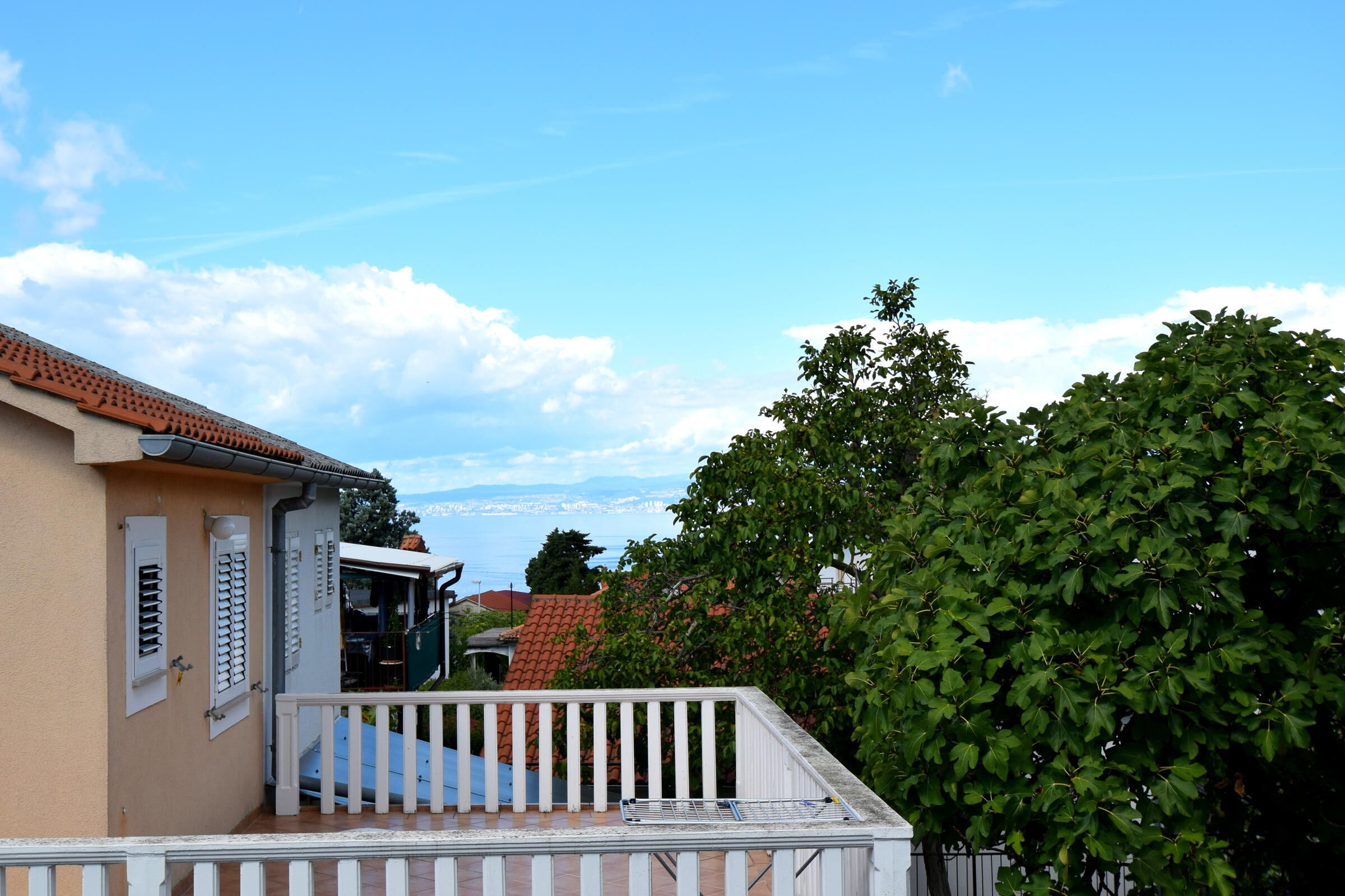 Apartment Borosak A1
