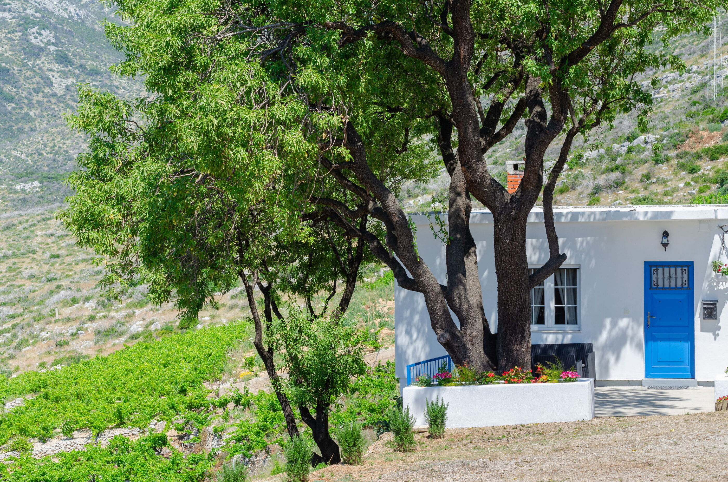 Kuća za odmor Deja Blue K1