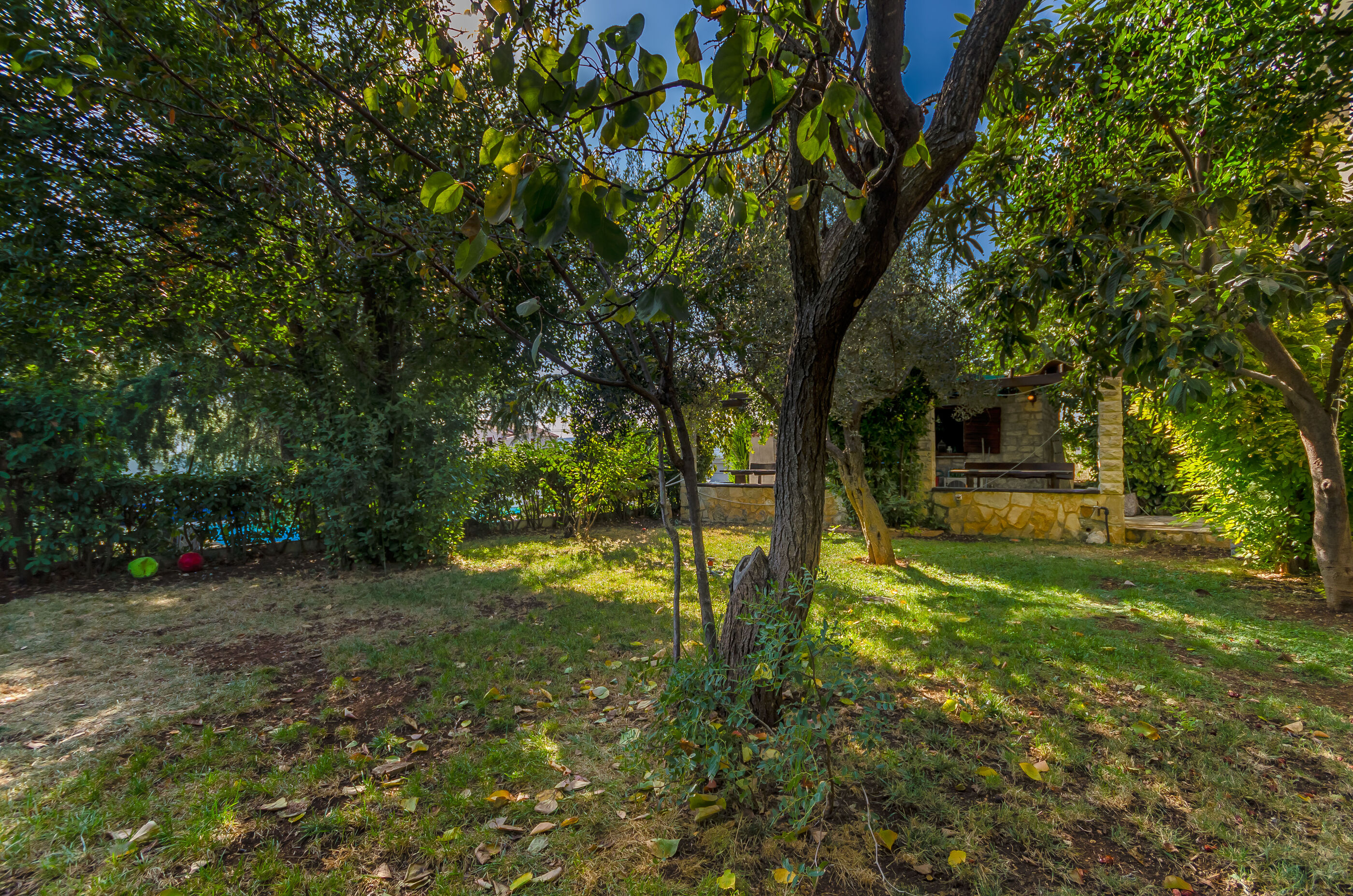 Apartments Milivoj 34421-A1