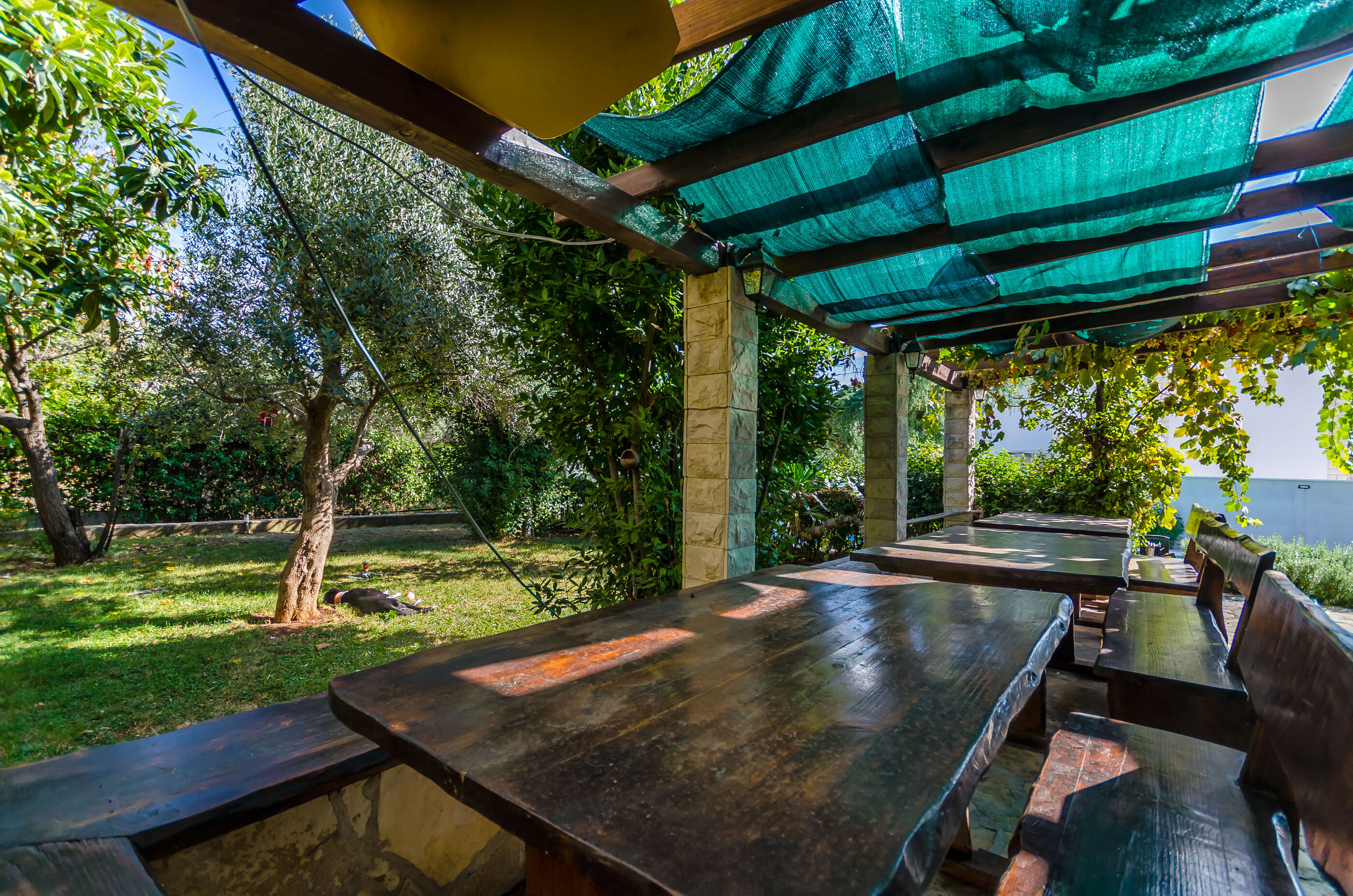 Apartments Milivoj 34421-A1