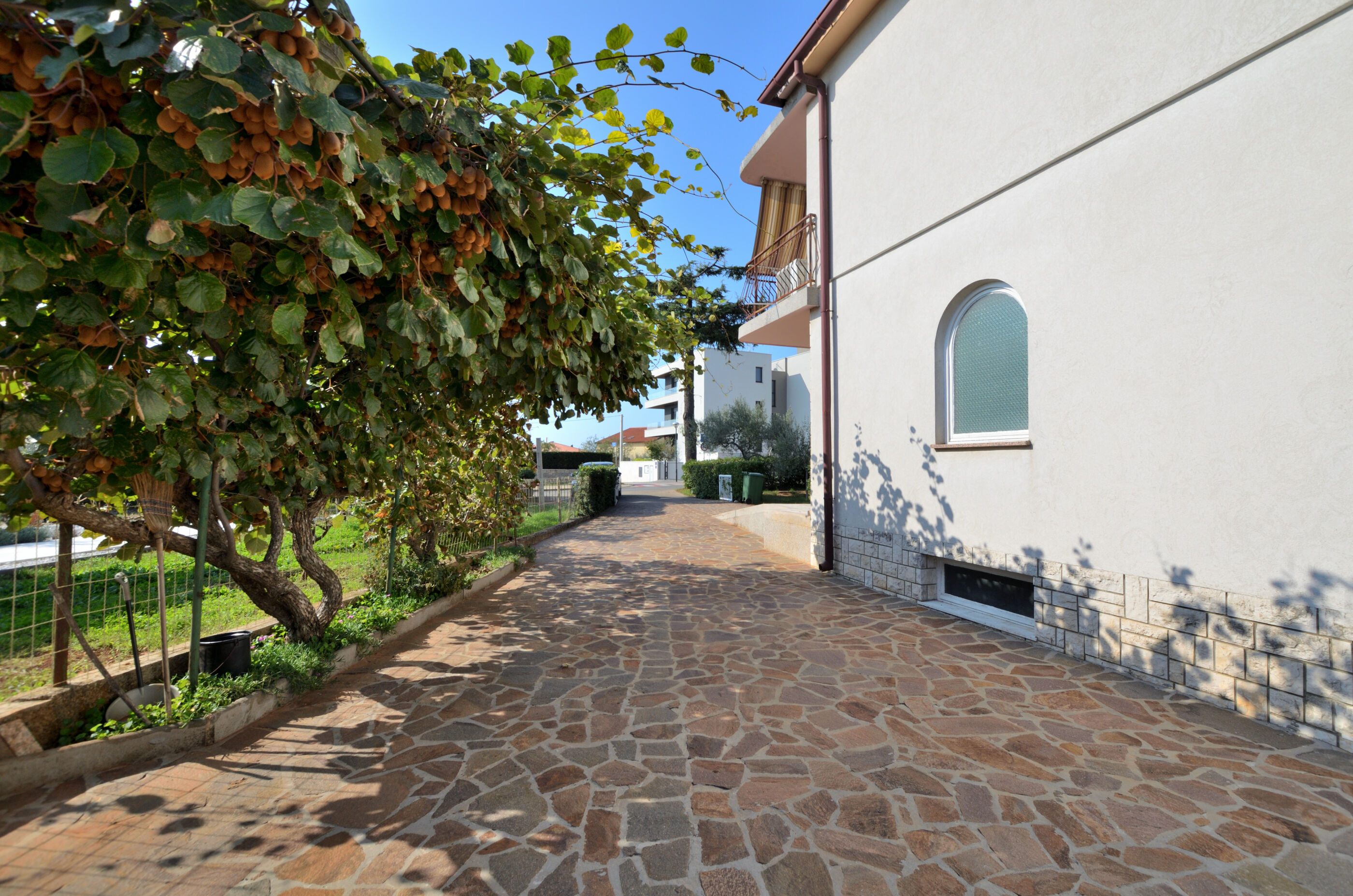 Apartment Boris 72682-A2