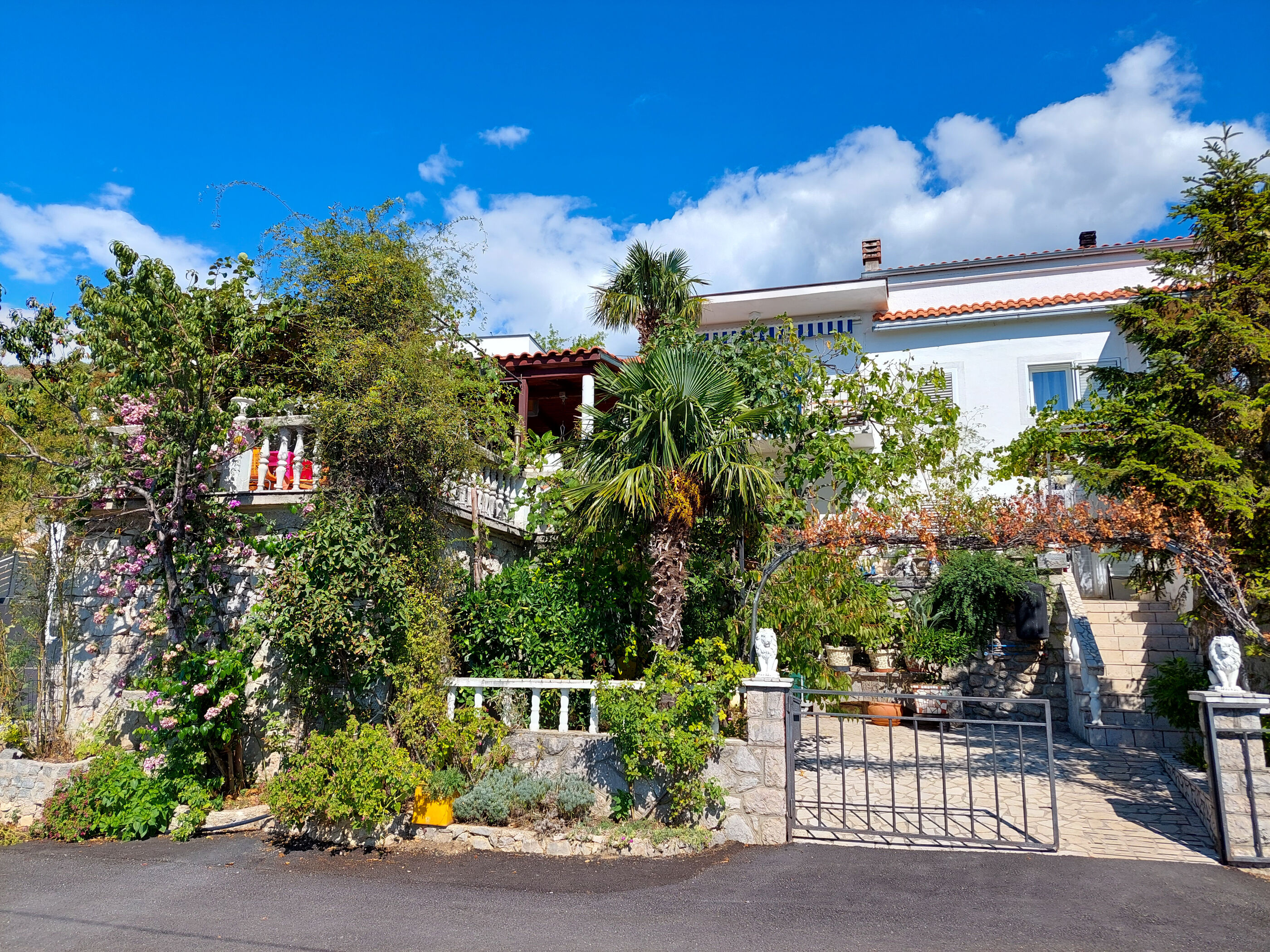 Apartment Klara 79991-A1