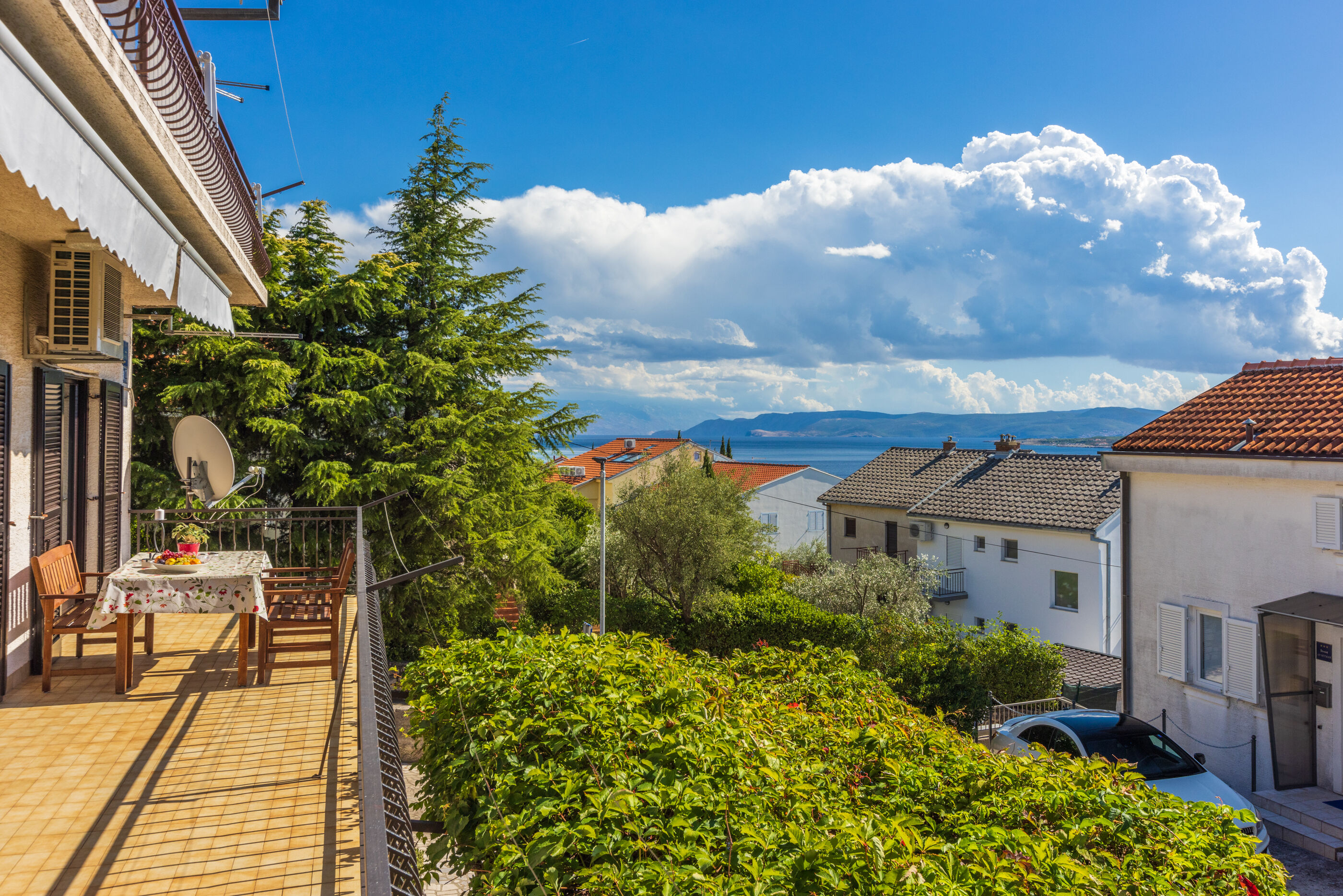 Apartment Suzy 62446-A1