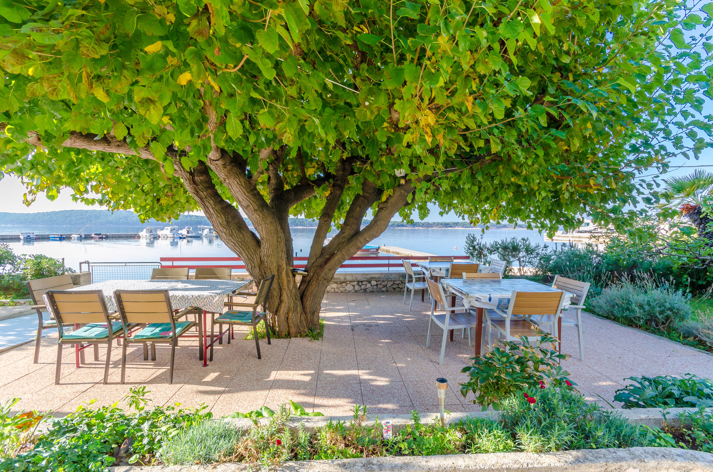Apartments Zoran 84611-A4