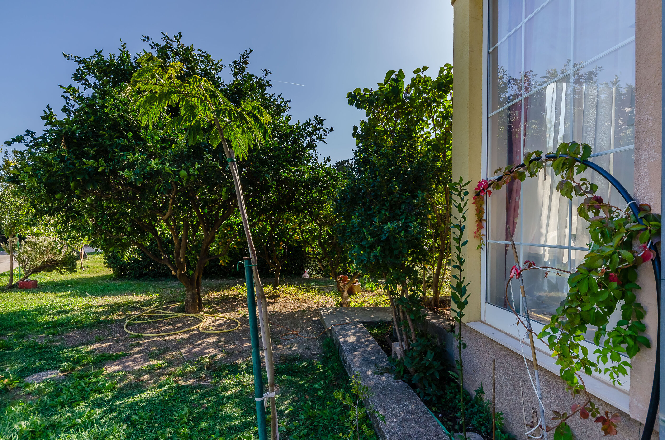 Photo of Apartment Benzon