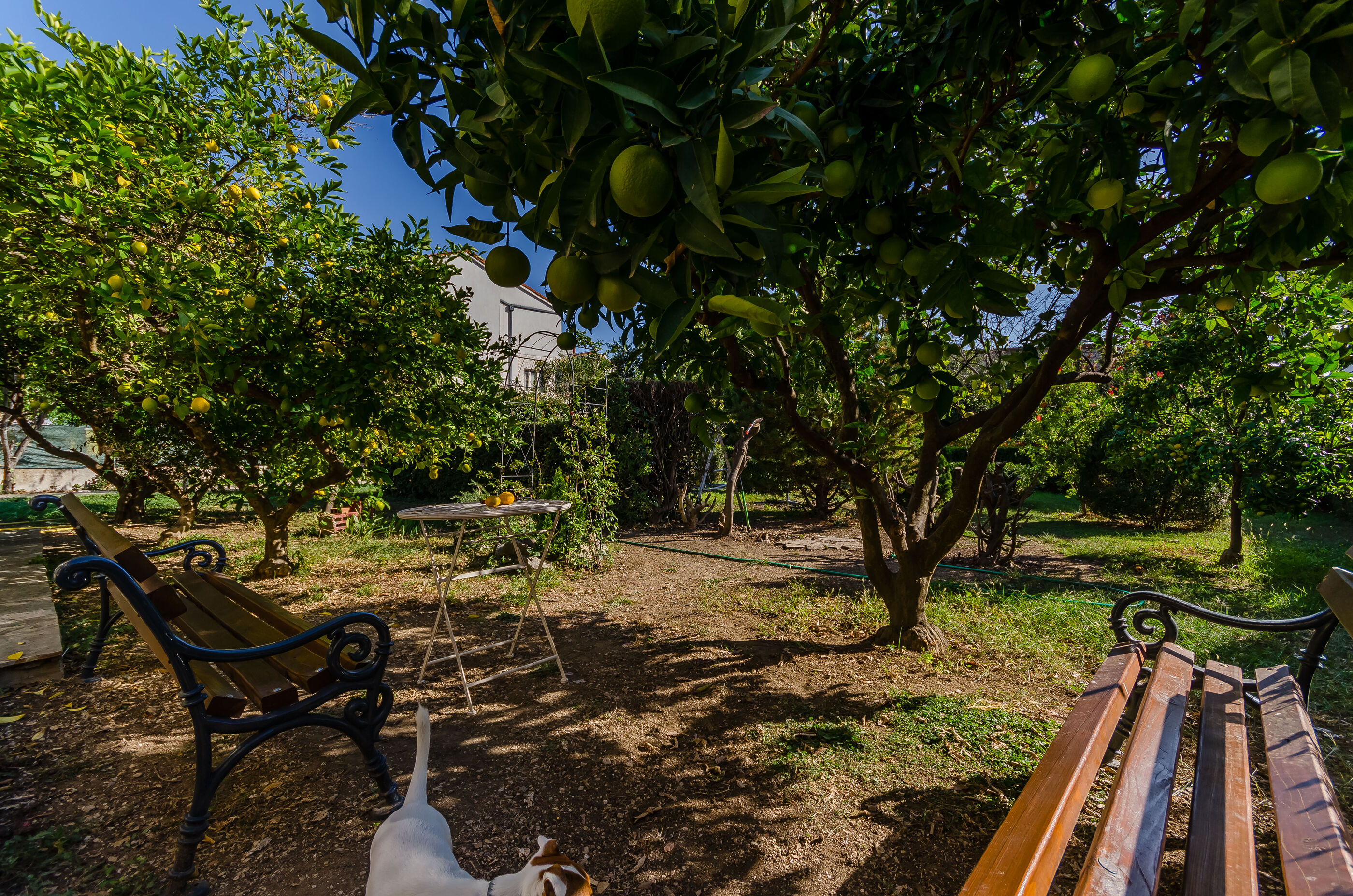 Photo of Apartment Benzon