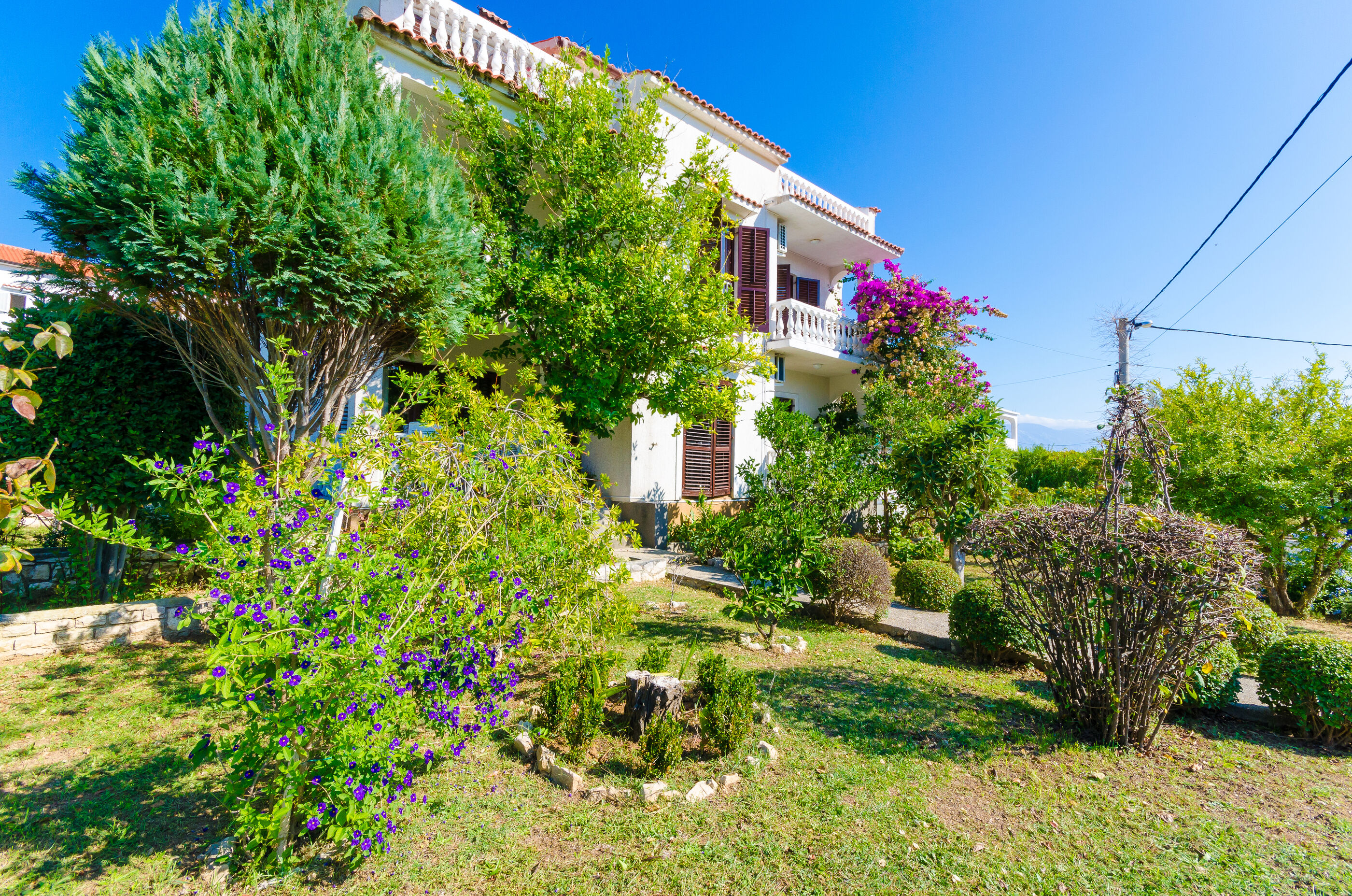 Apartments Ljubica J 89951-A1