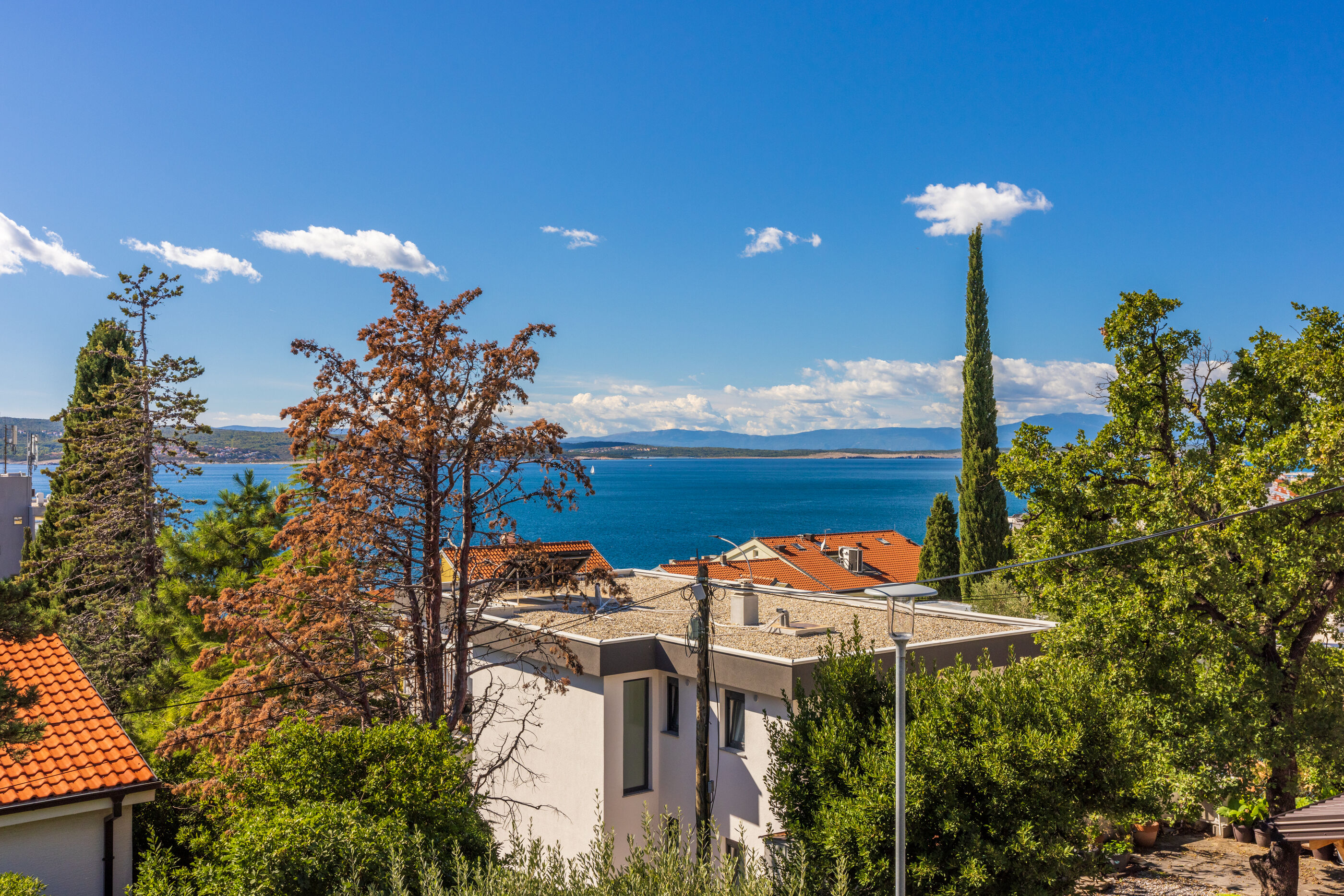 Apartments Hinic 62654-A2