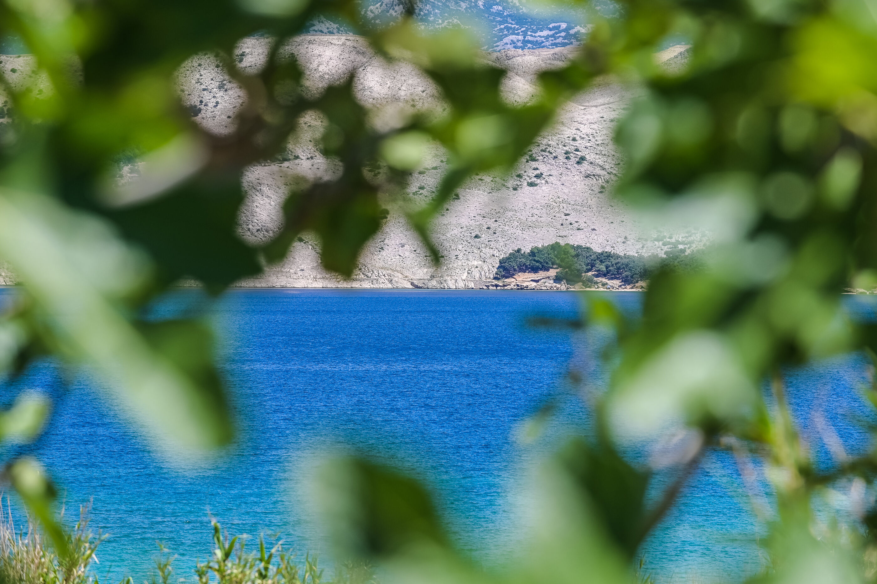 House Silvijo 89891-K1