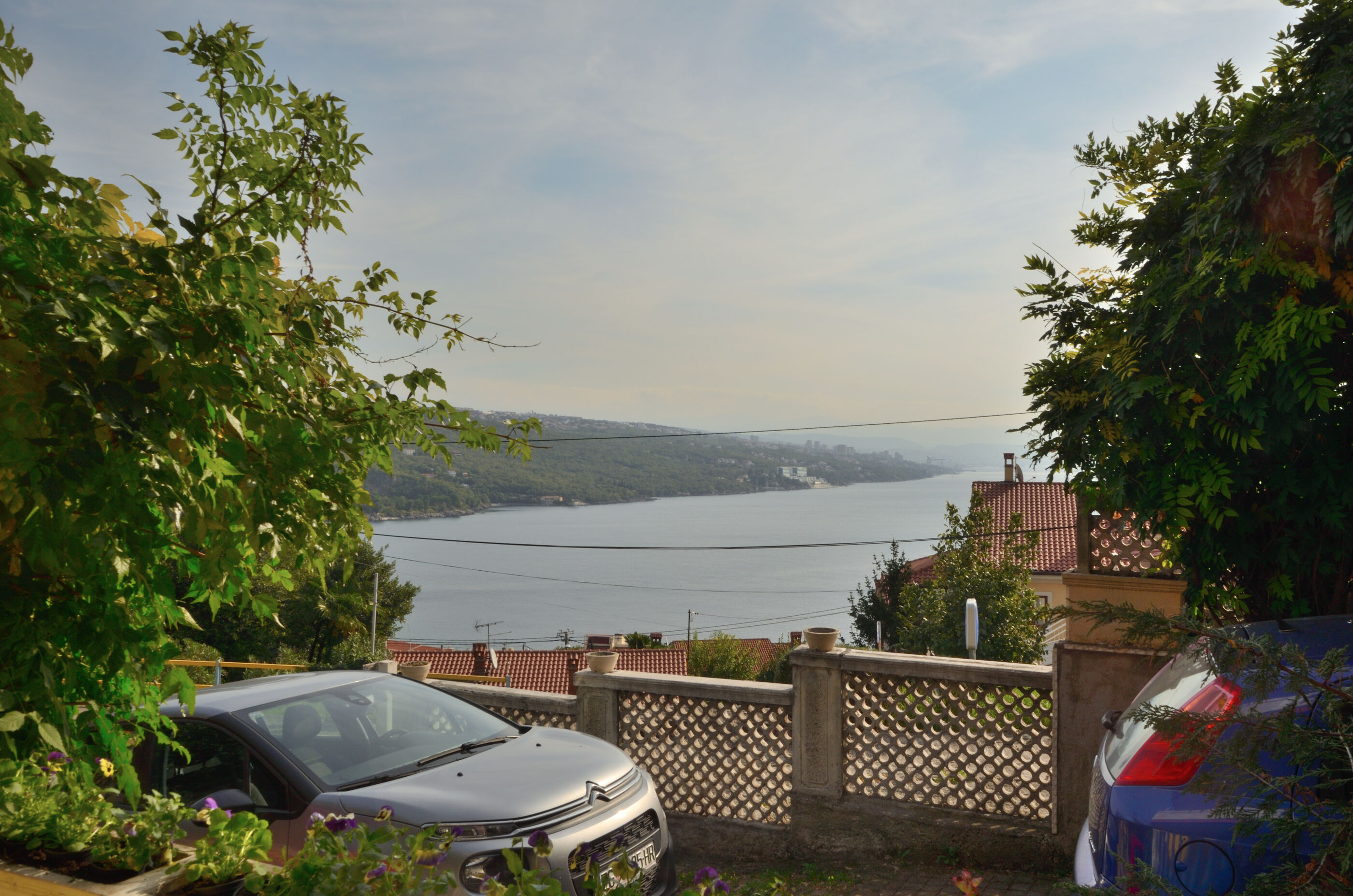 Photo of Apartments Vladislav