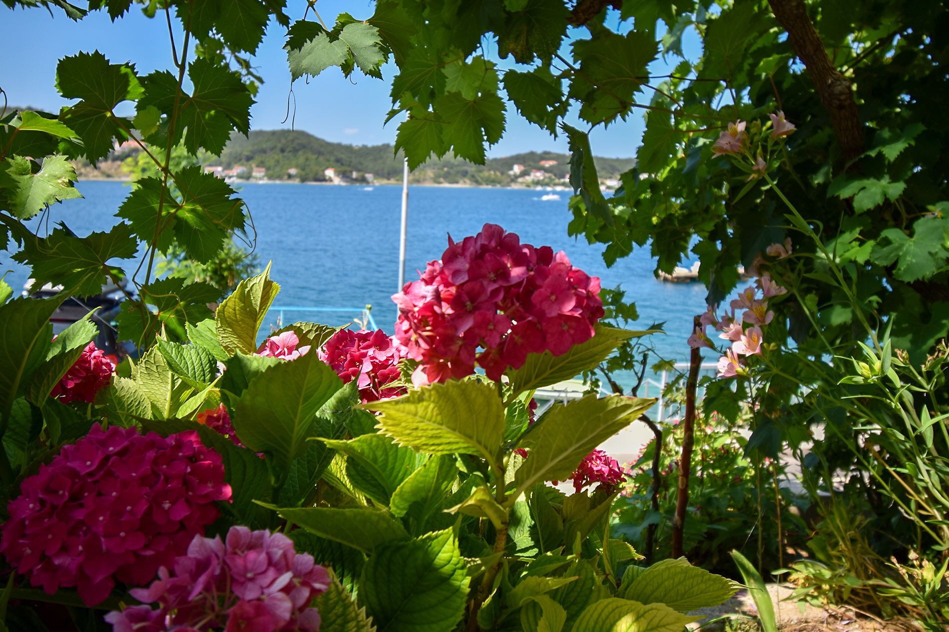 Photo of Apartments Luci