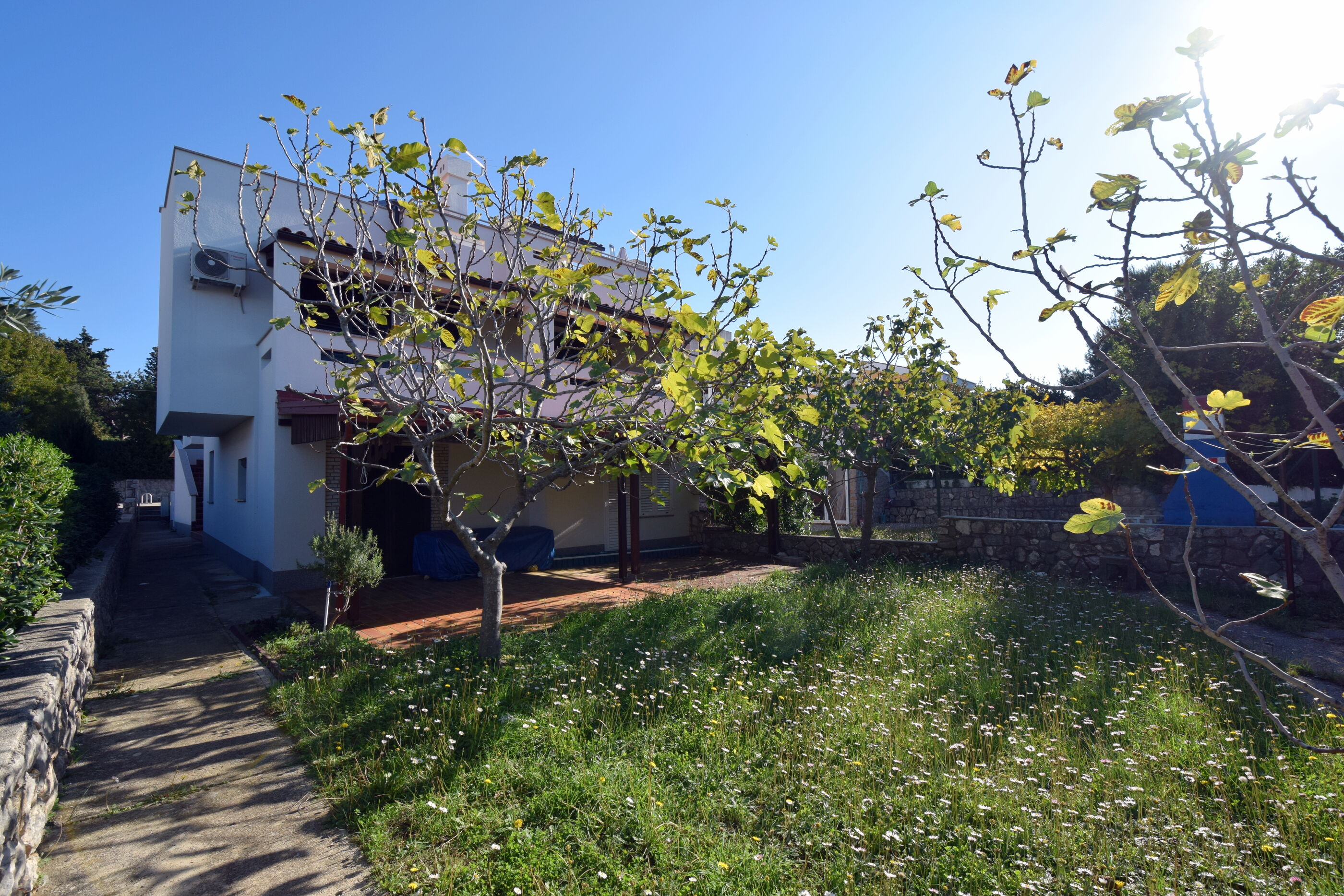 Apartment Leonarda 62046-A1