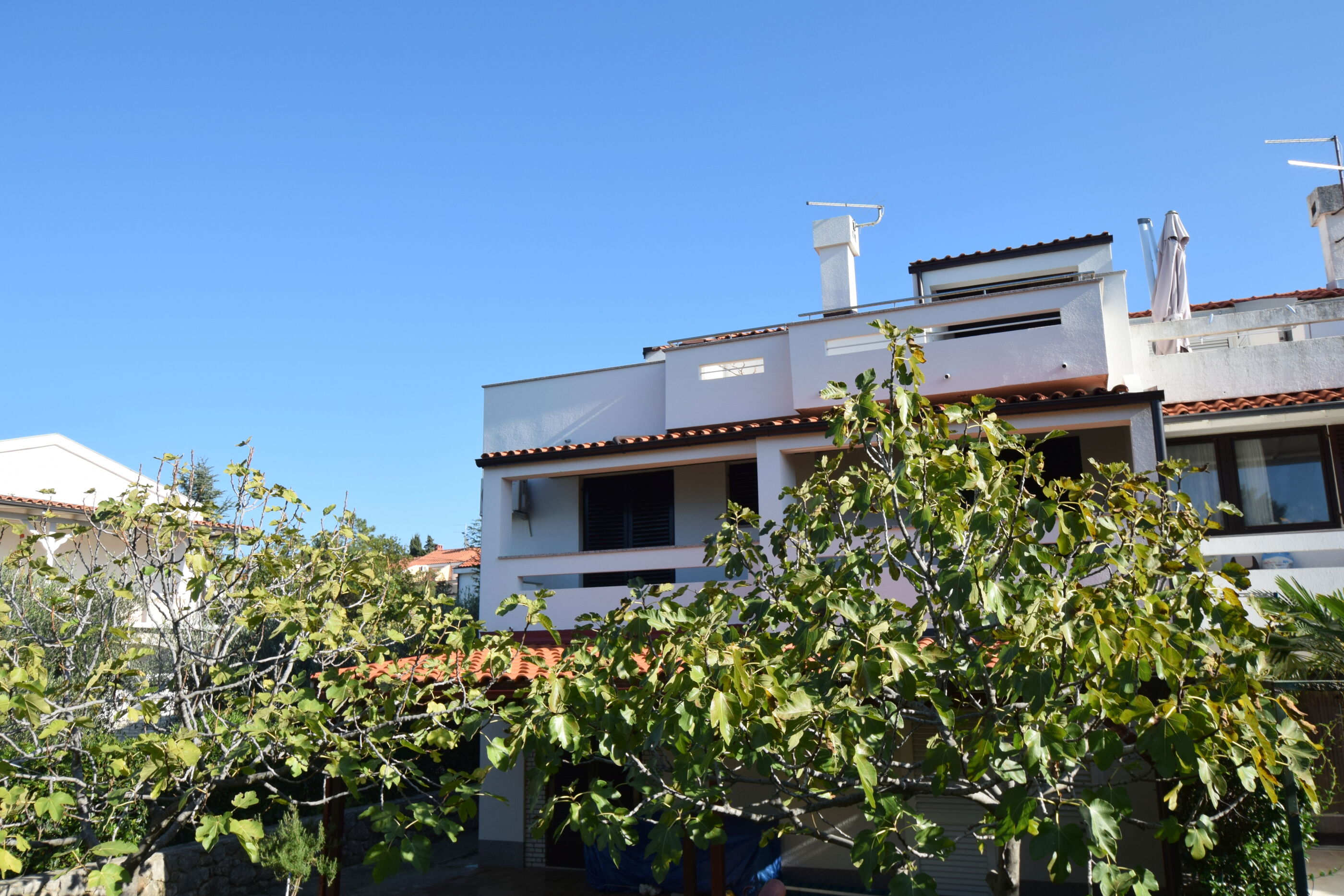 Apartment Leonarda 62046-A1
