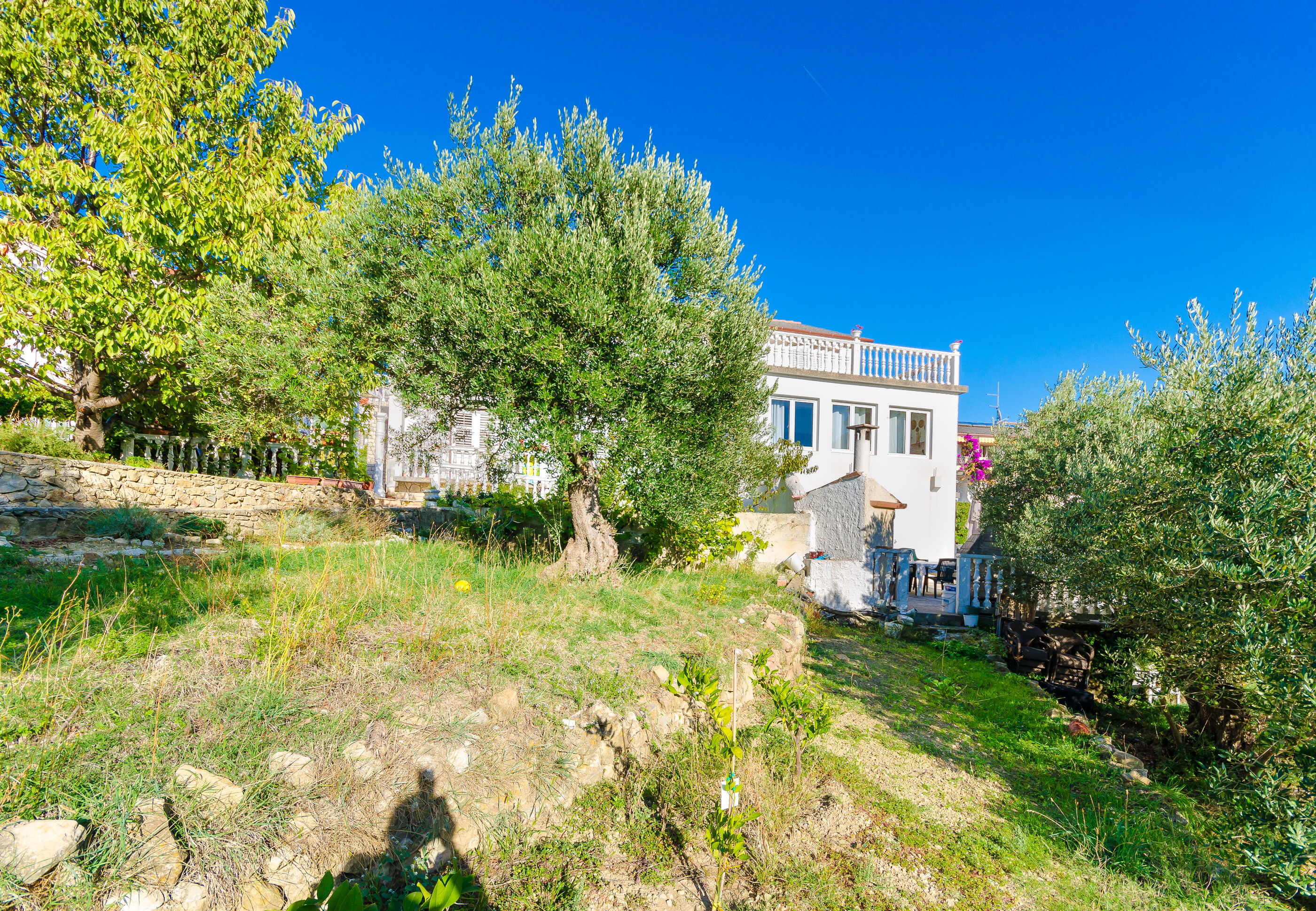 Photo of Rooms Mladen P