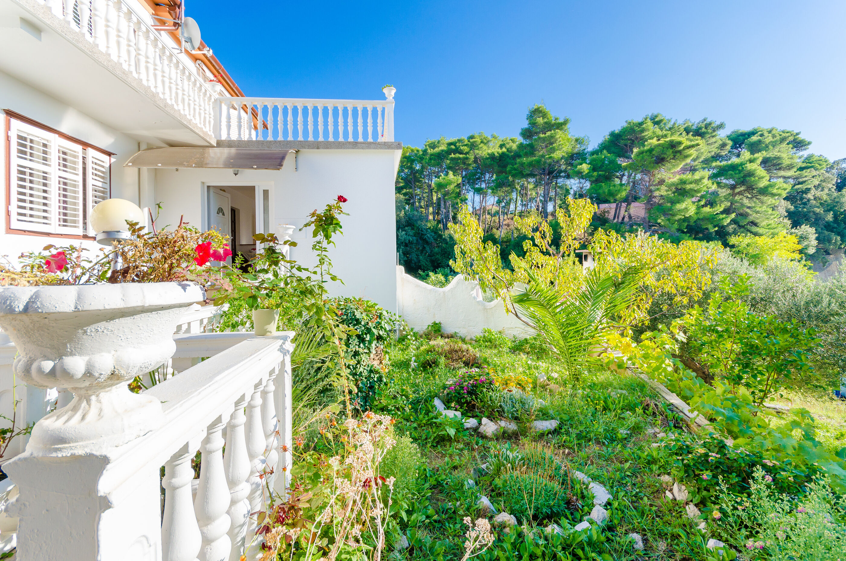 Photo of Rooms Mladen P