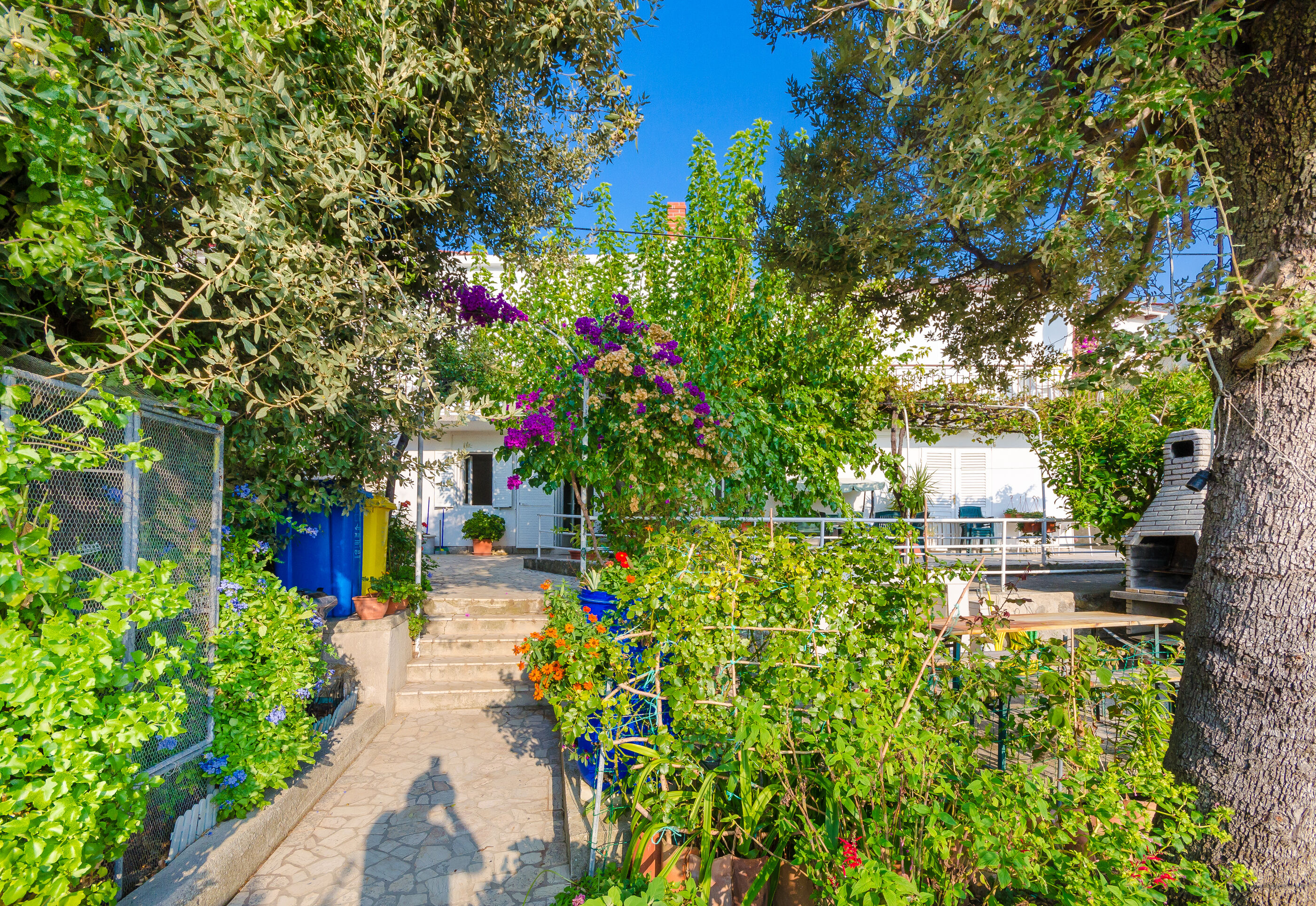 Apartments Zarko 90091-A1
