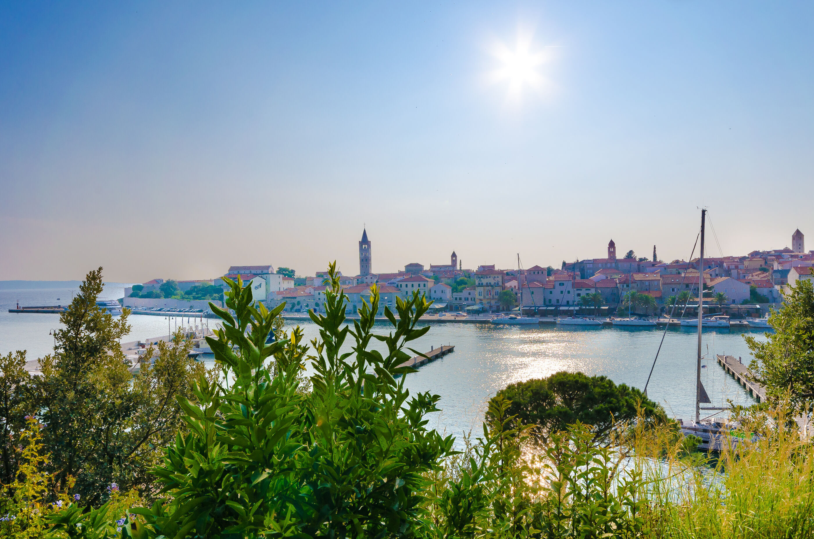 Photo of Apartments Zarko